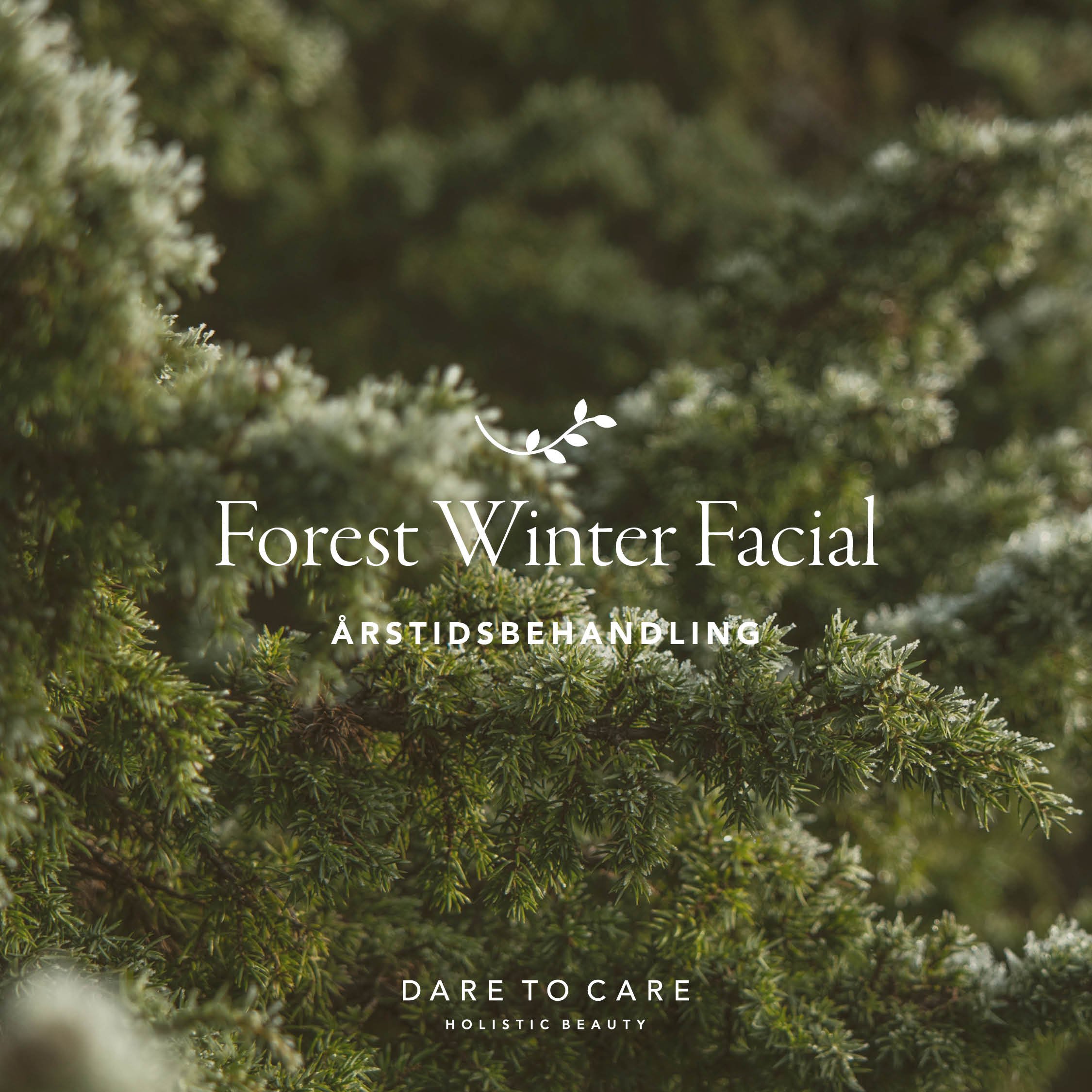 Ny årstidsbehandling - Forest Winter Facial