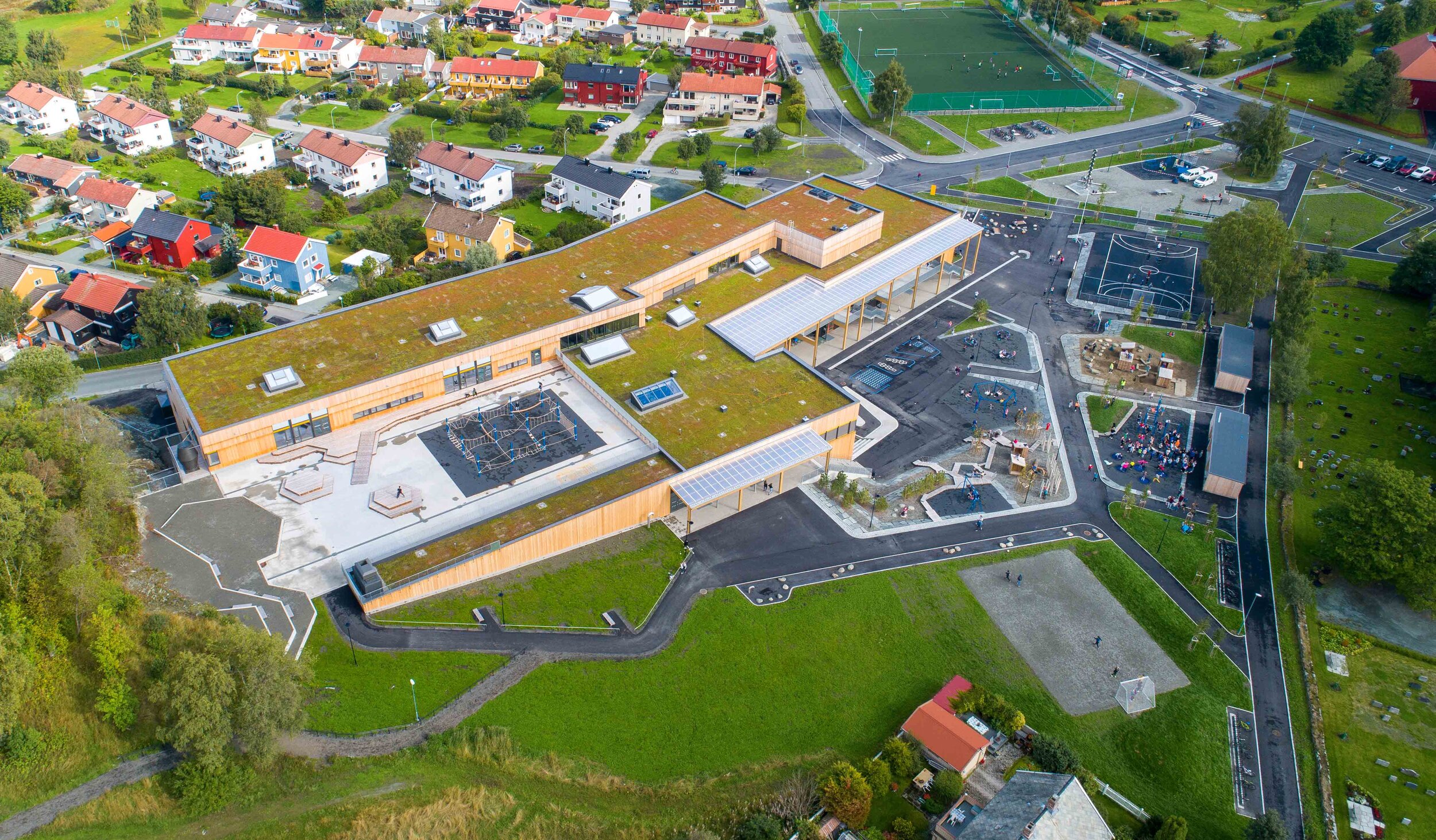 Lade skole, Trondheim — Bergknapp - Sedum og grønne løsninger