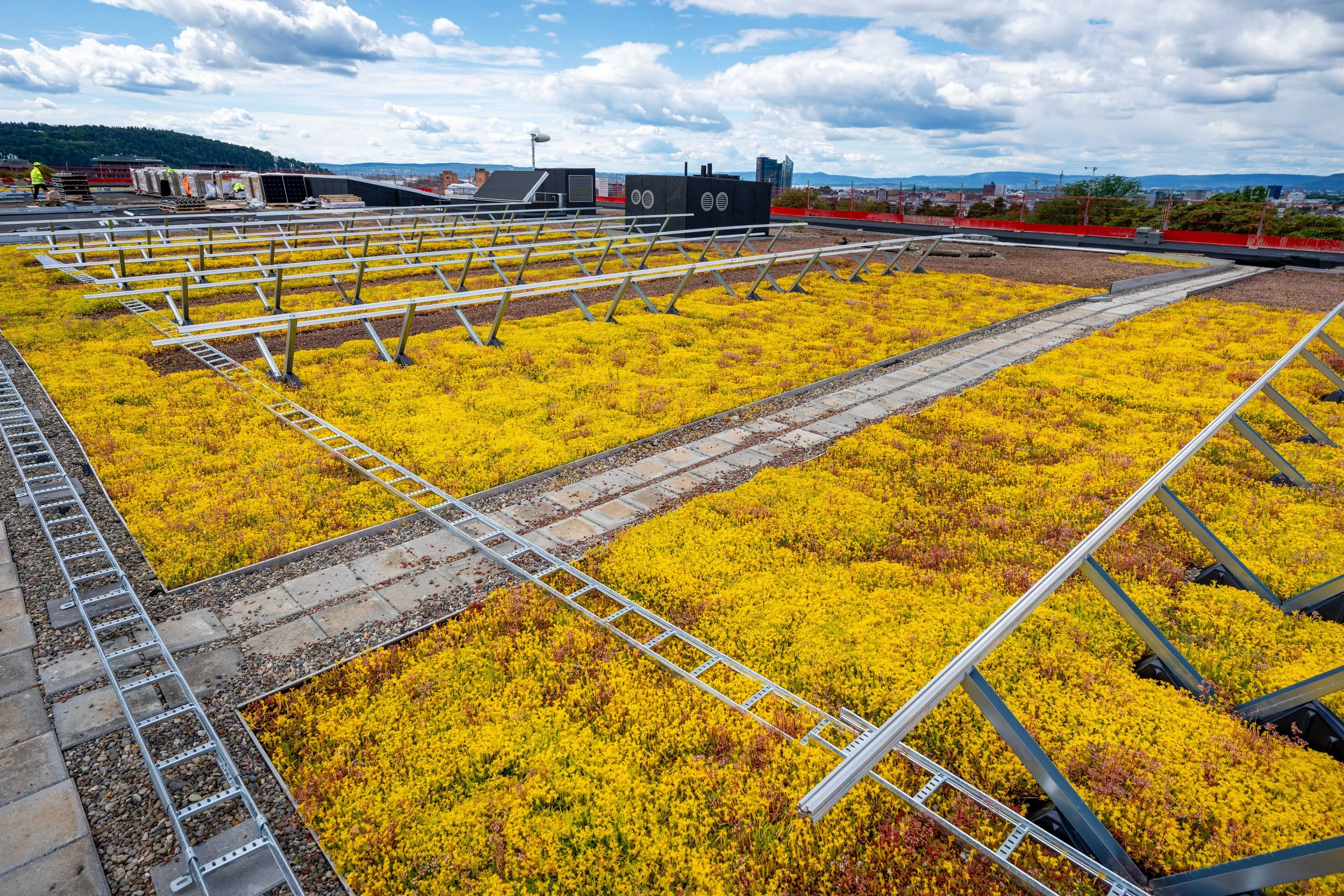 20240611-Bergknapp - Tøyenbadet juni 2024 283.jpg