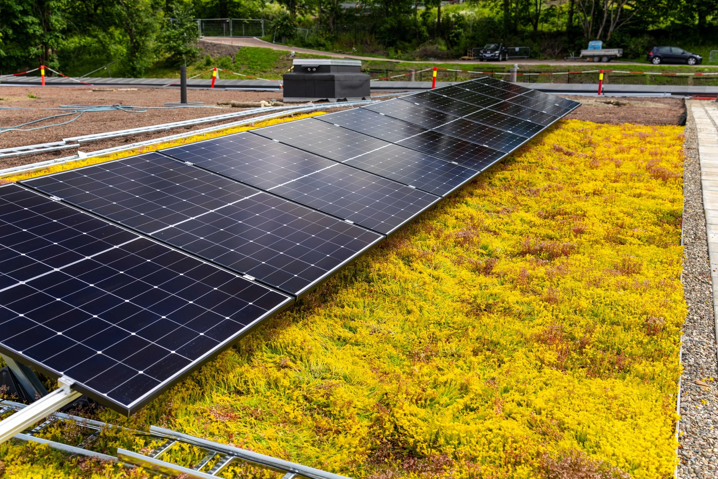 20240611-Bergknapp - Tøyenbadet juni 2024 178.jpg