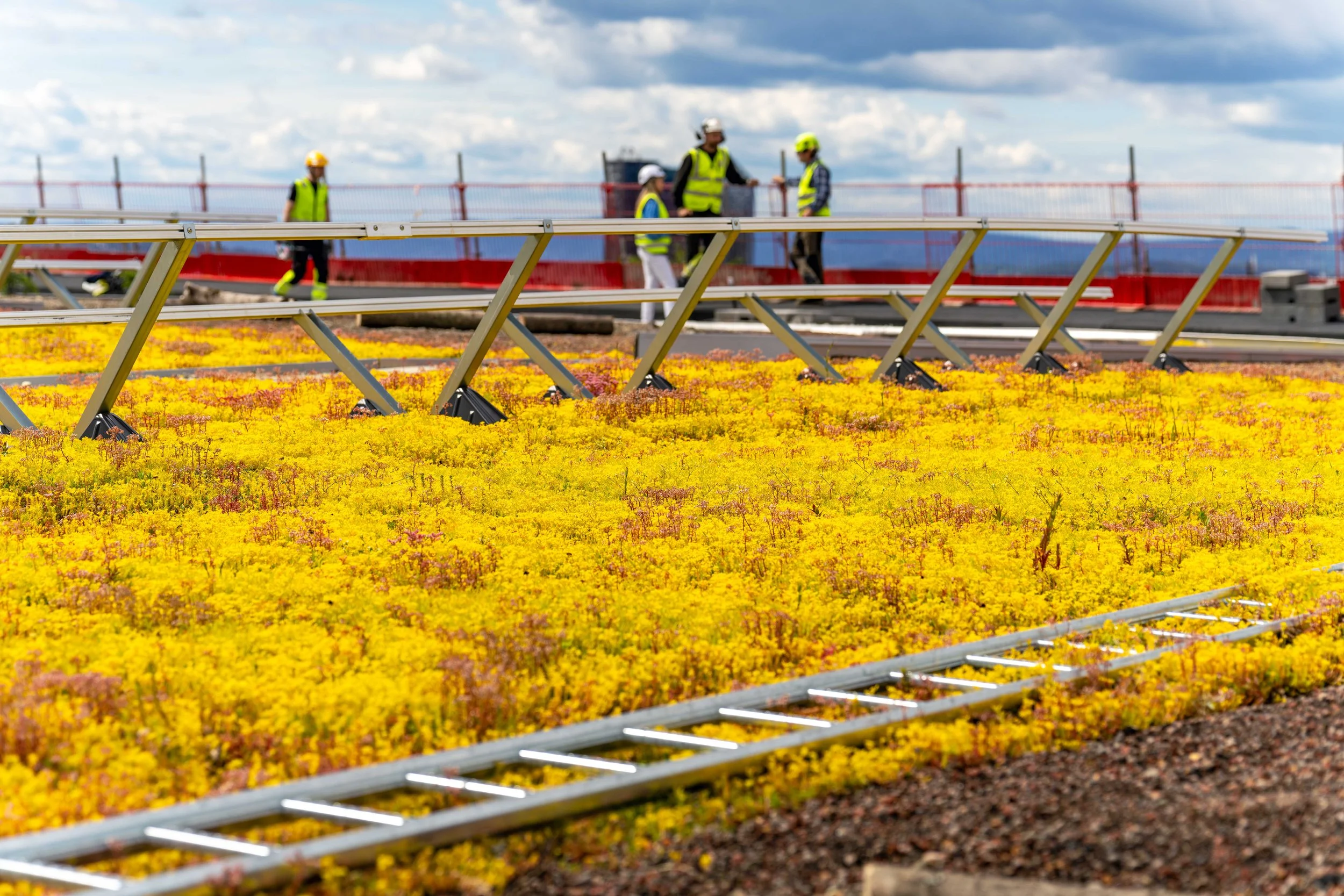 20240611-Bergknapp - Tøyenbadet juni 2024 134.jpg