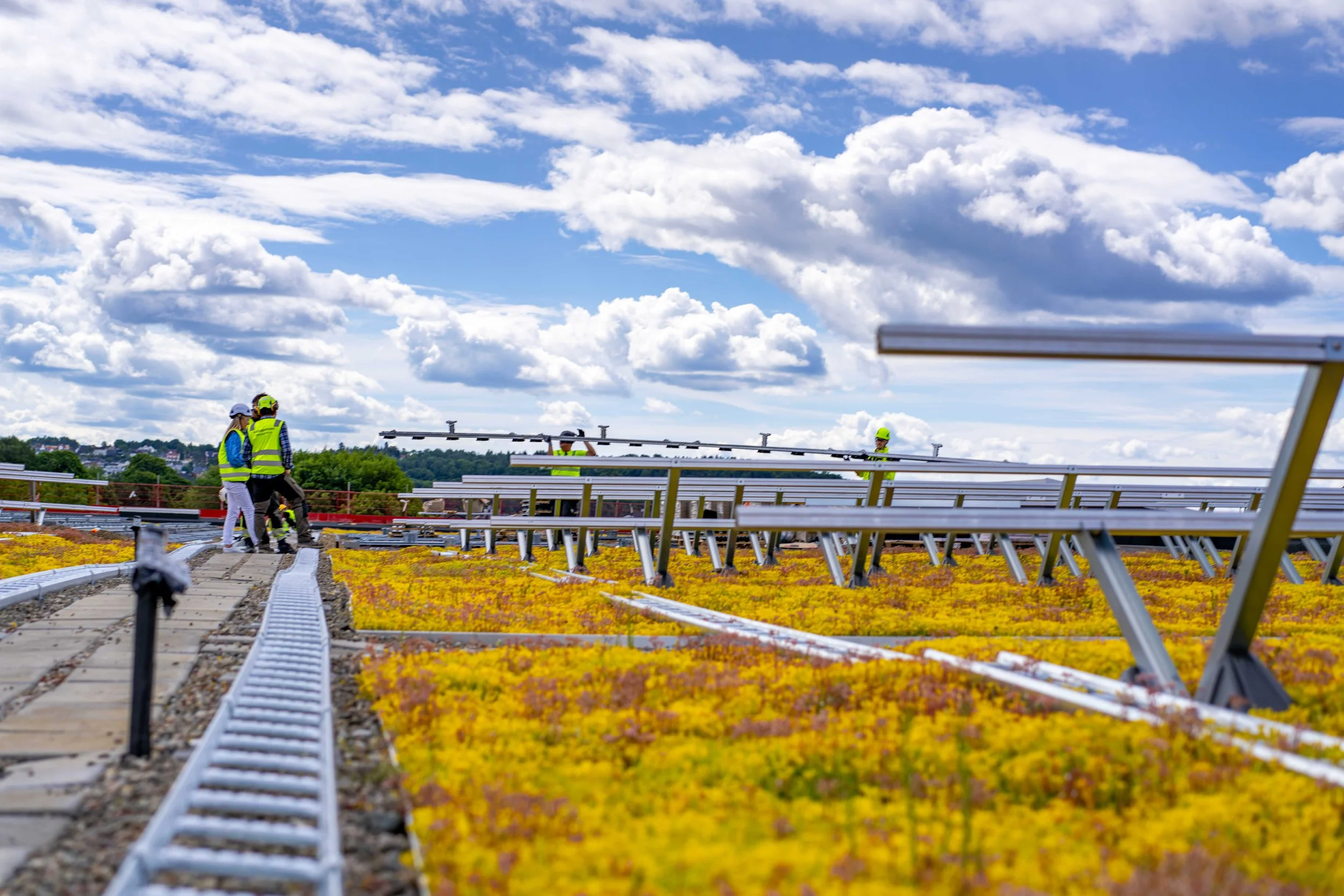 20240611-Bergknapp - Tøyenbadet juni 2024 105.jpg