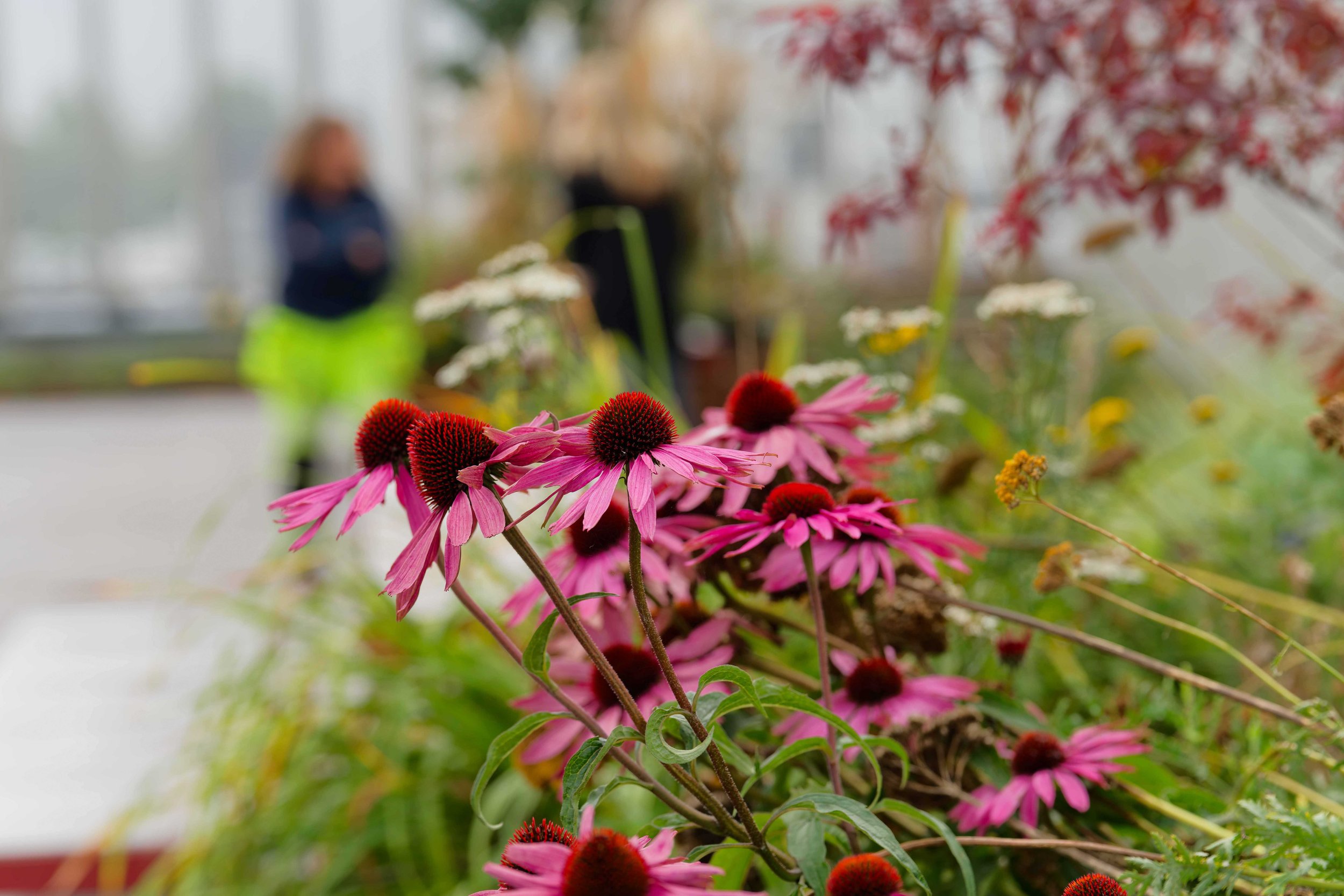 Bergknapp Motek prisutdeling sept 2024 - 35_07497.jpg