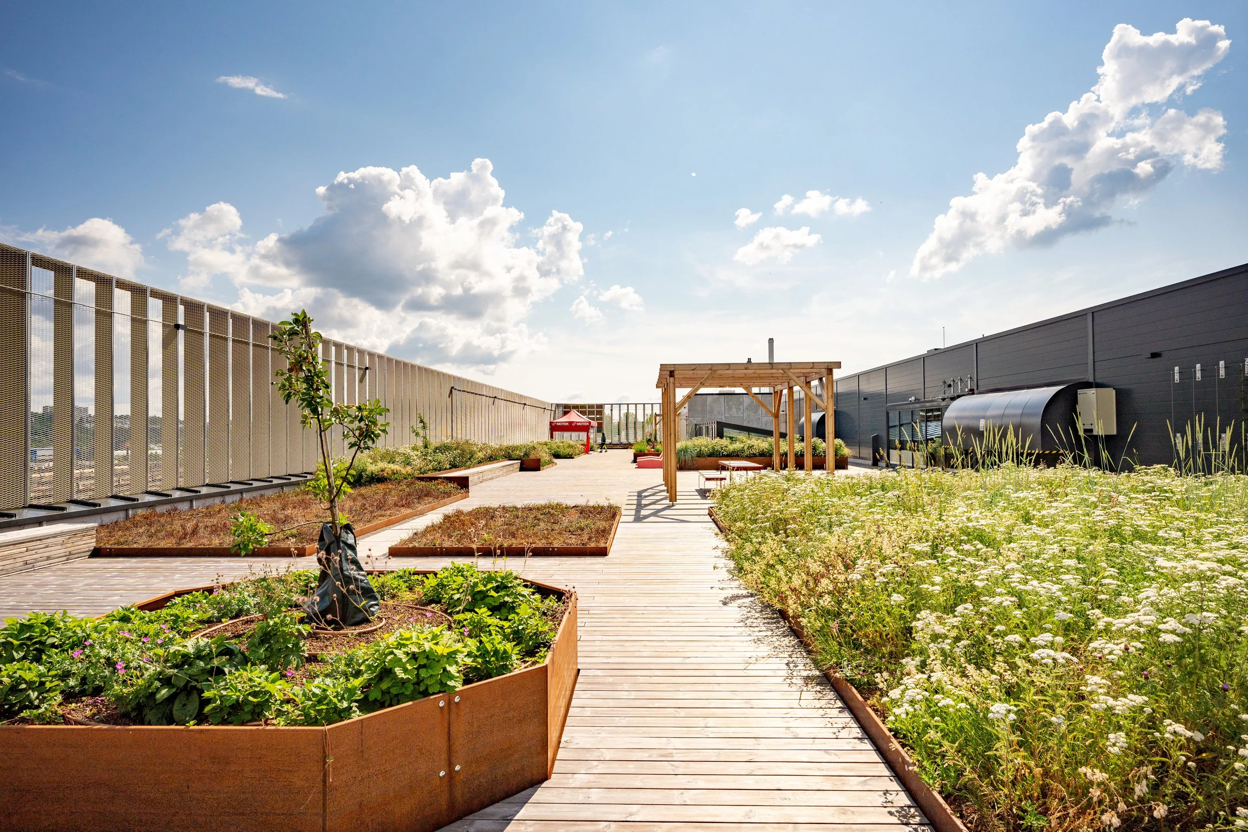 Bergknapp juni 2023 - Motek takterrasse - _DSC0304.jpg