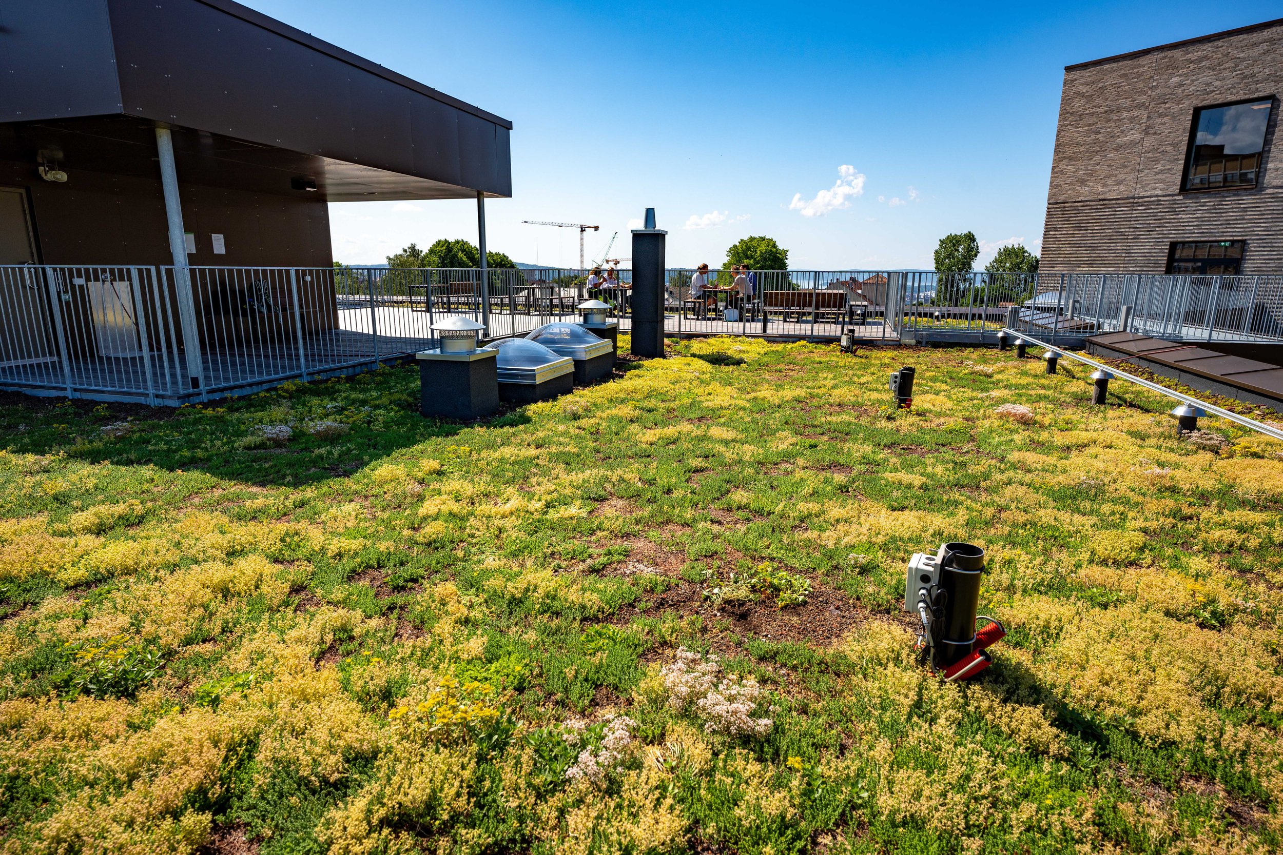 Bergknapp juni 2023 Legevakten  VV _DSC0457.jpg
