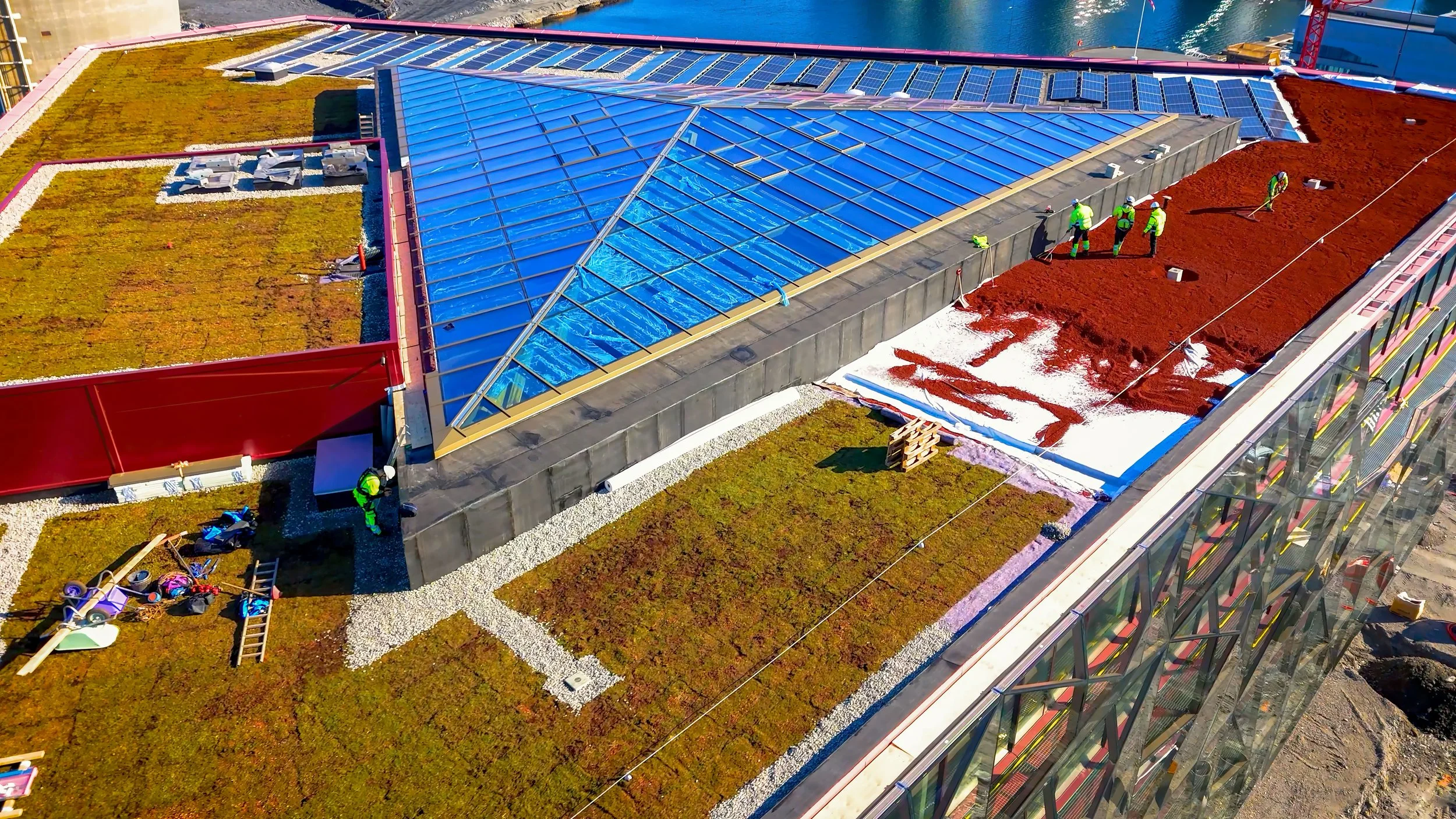 Bergknapp Vahall mars 2024 -C3534.00_00_49_24.Still007.jpg