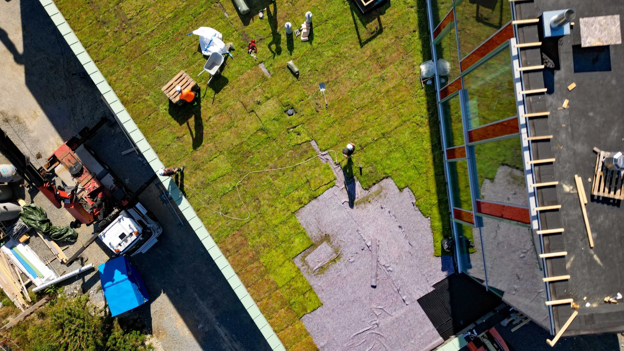 bergknapp østerhus sedum drone DJI_0273_1.jpg