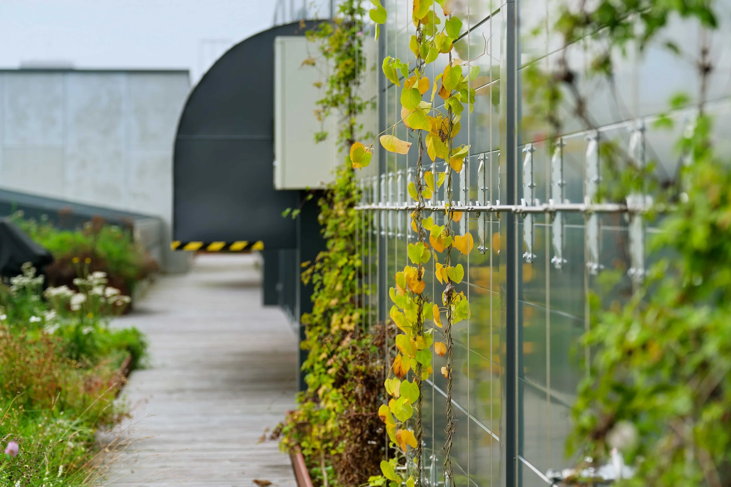 Wirevegg Bergknapp Motek prisutdeling sept 2024 - 35_07429.jpg