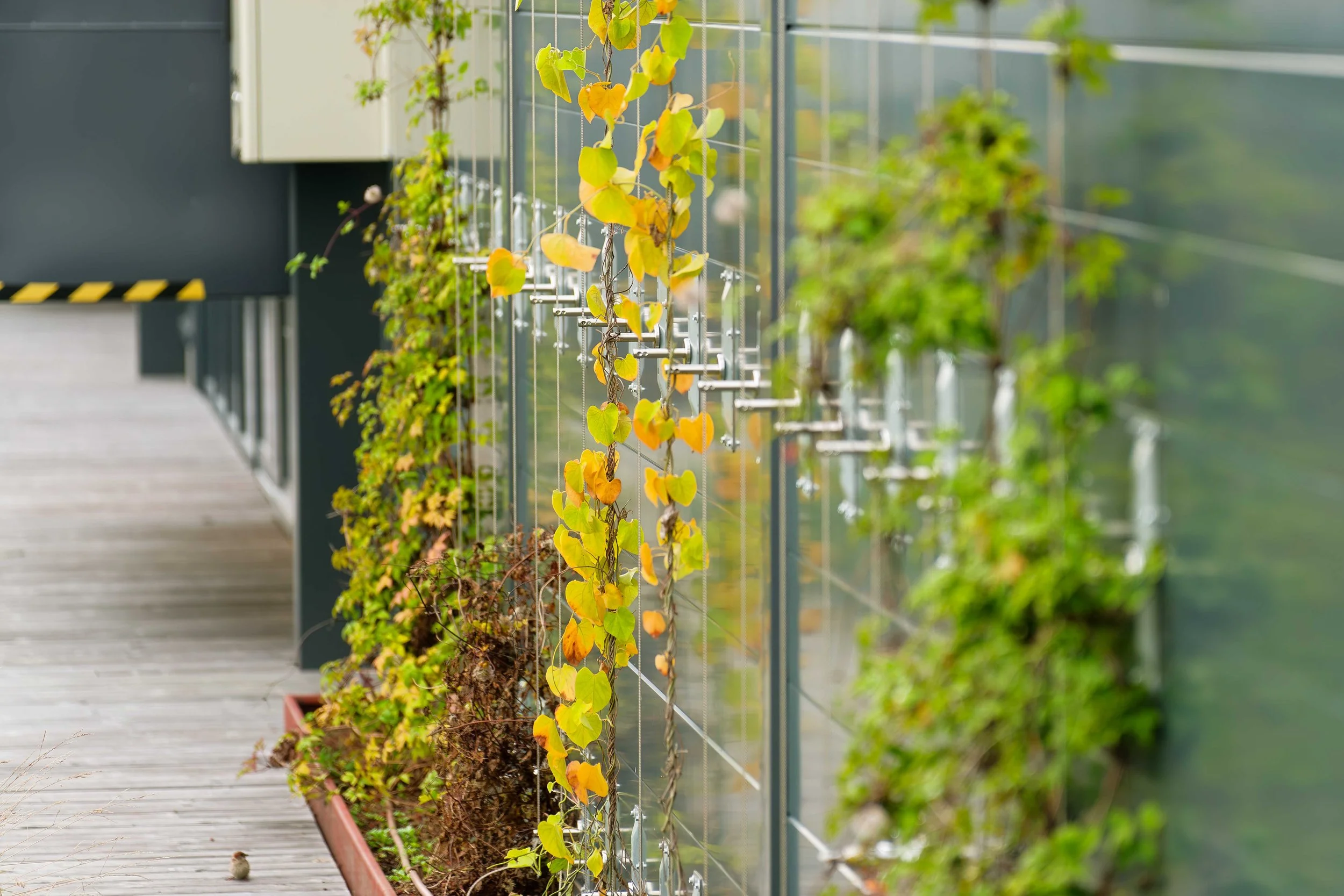 Wirevegg Bergknapp Motek prisutdeling sept 2024 - 35_07444.jpg