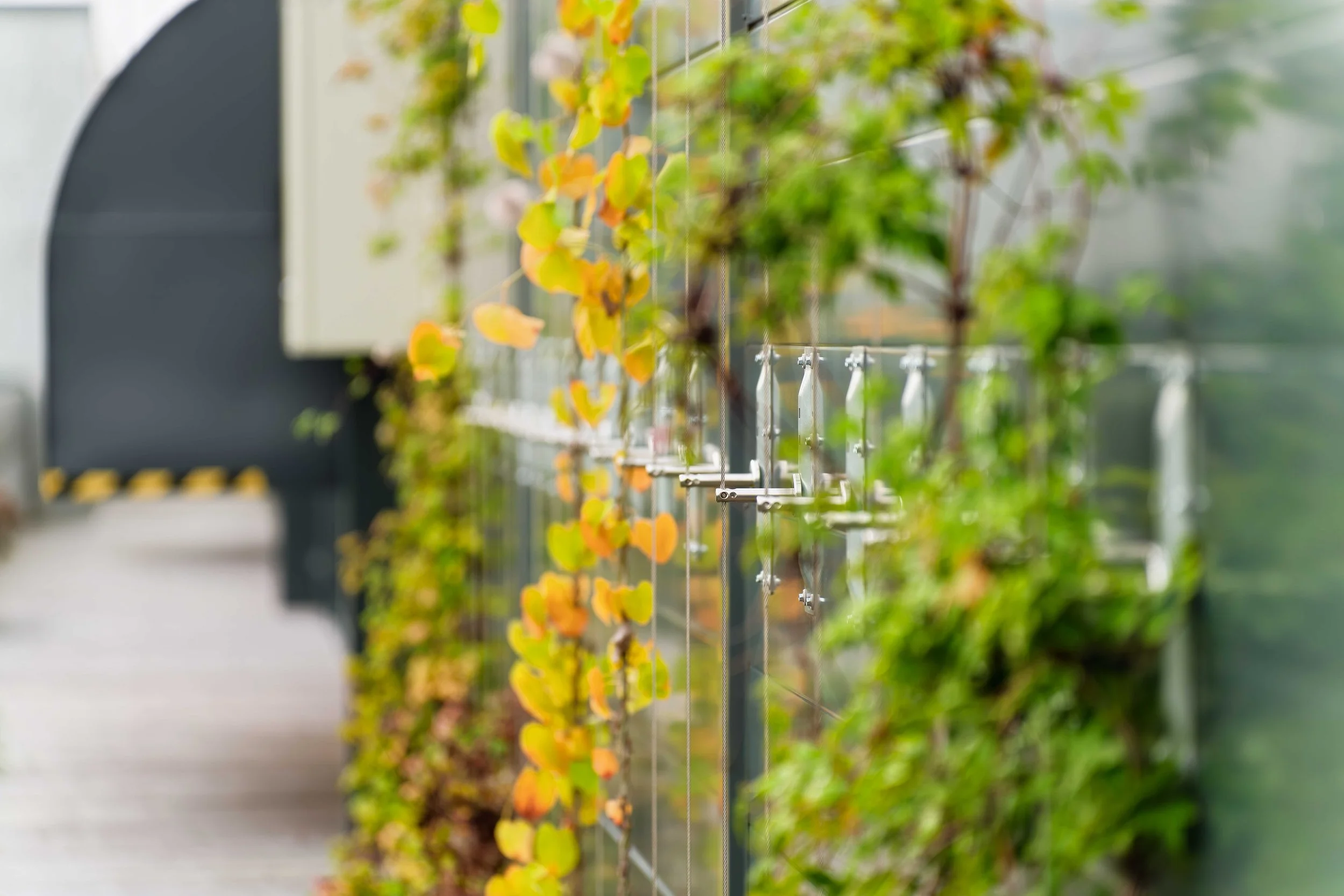 Grønn vegg med wire på Motek-bygget