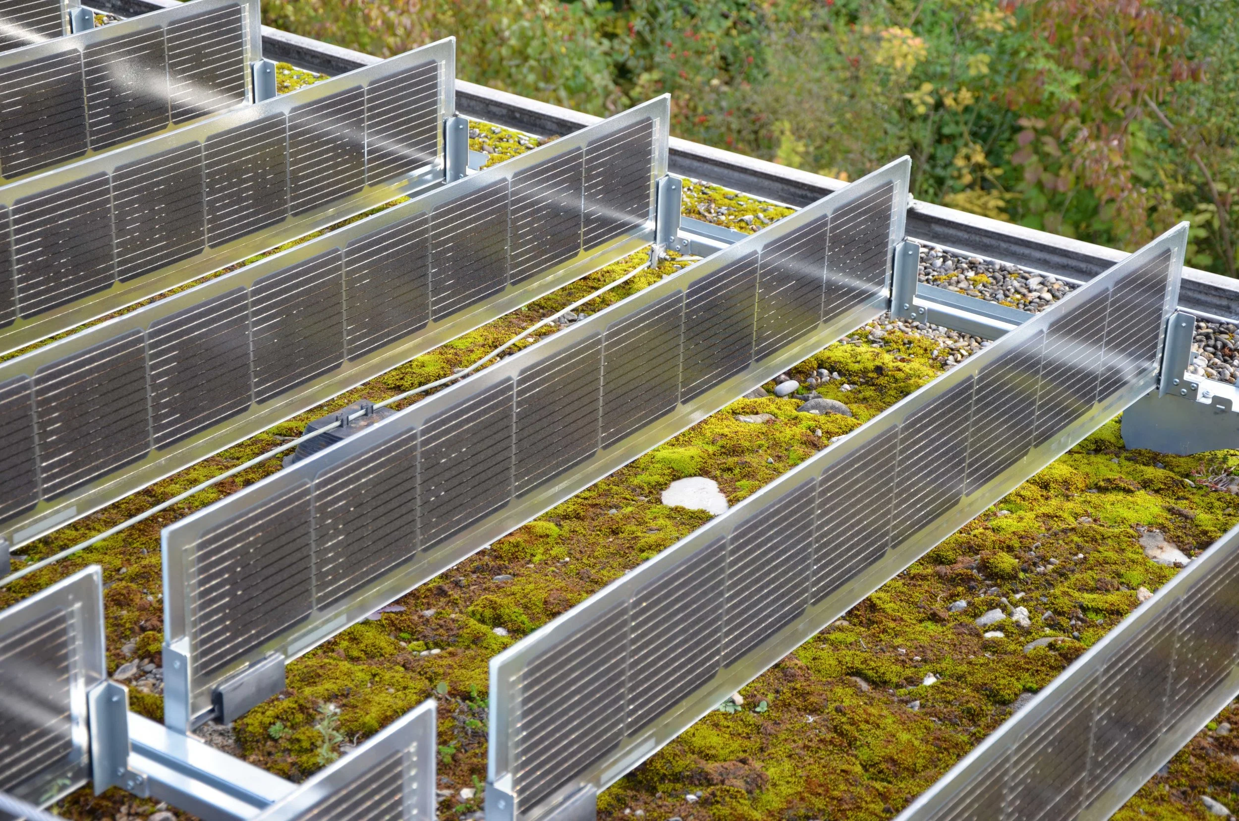 DSC_0749-gigapixel-standard v2-2x.jpg