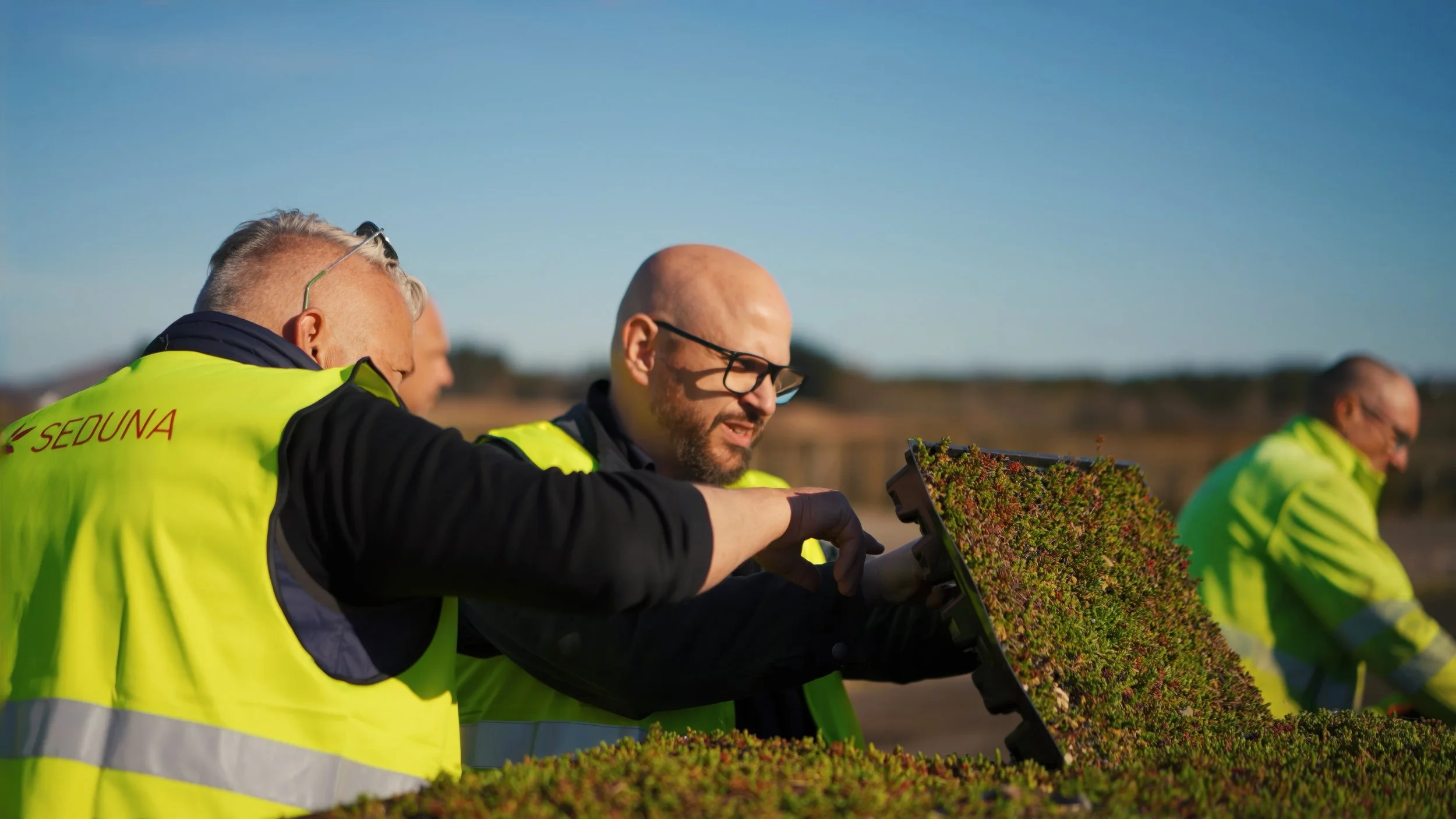 Seduna-besok-Bergknapp-Norge-odling-team 004.jpeg