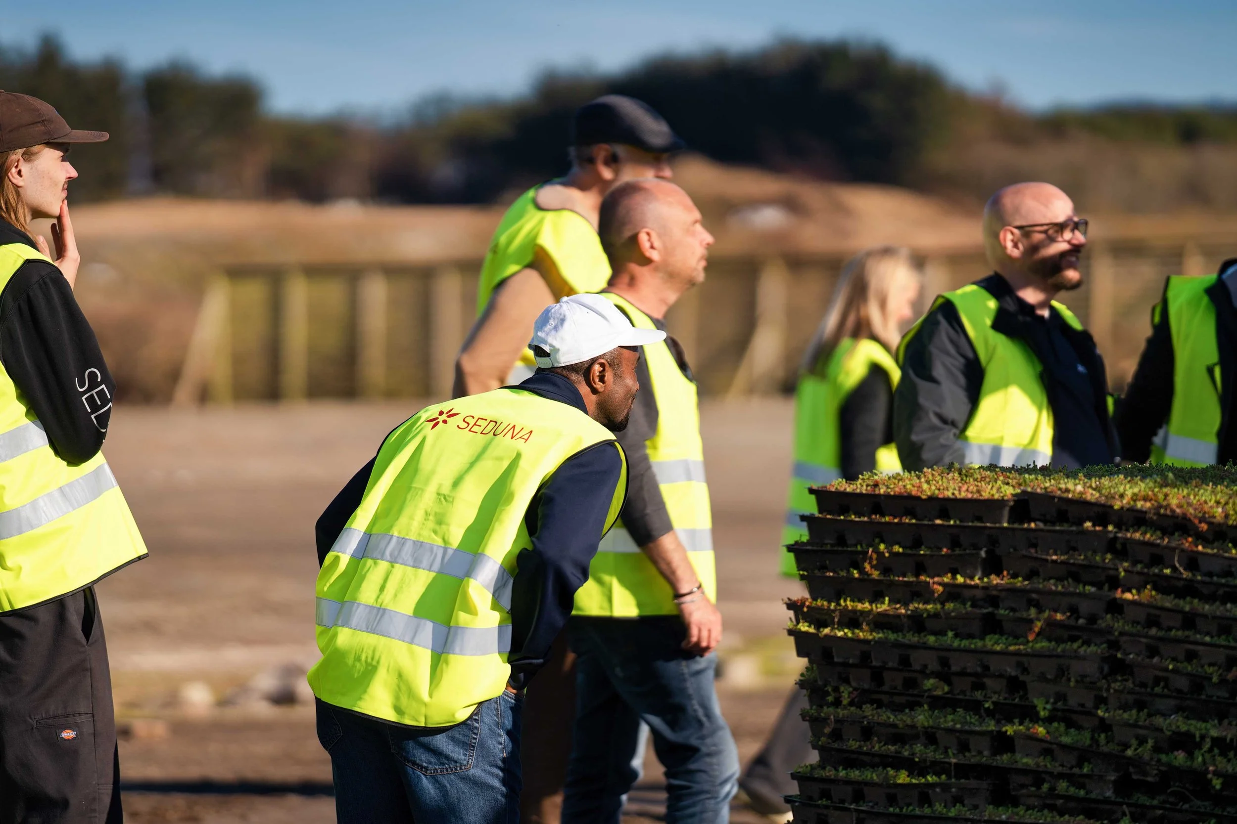 Seduna hos Bergknapp april 2026 35_06495.jpg