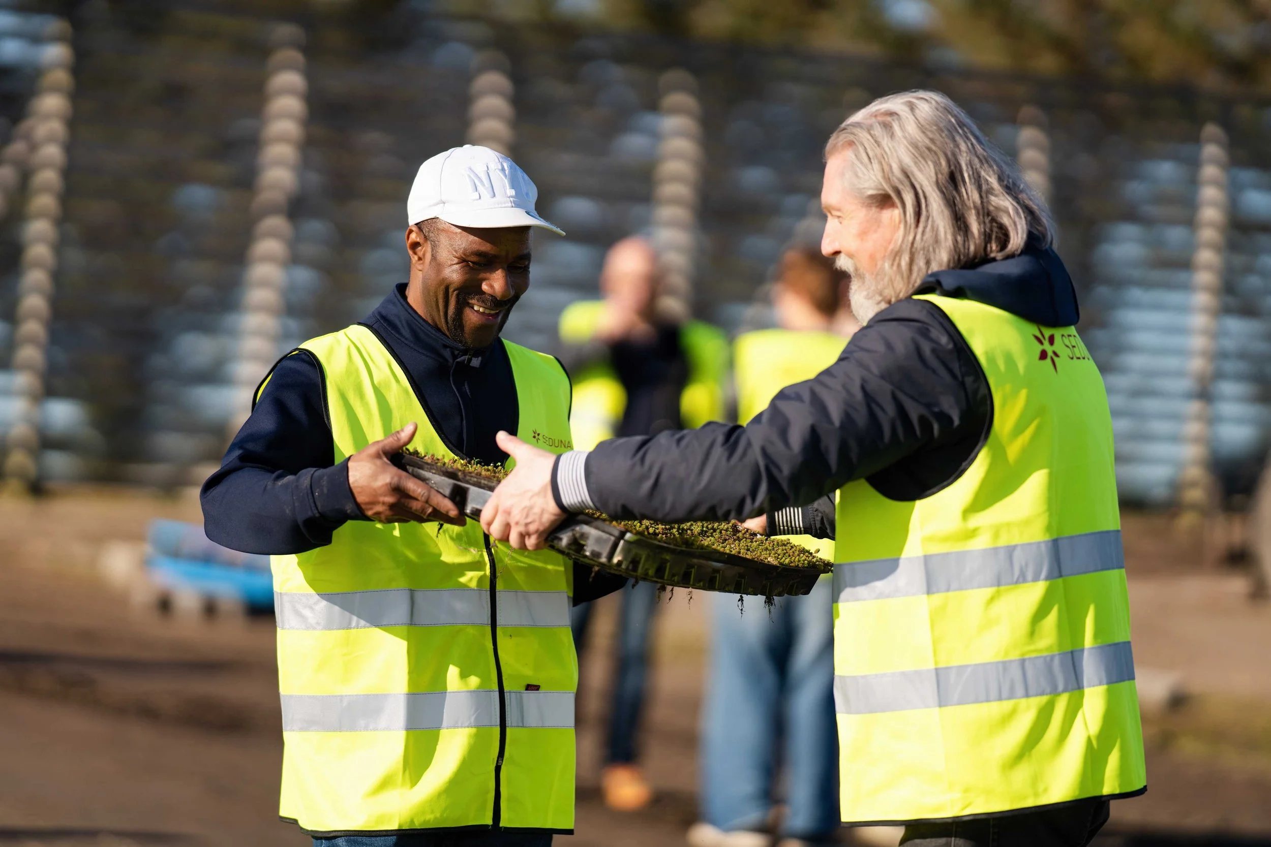 Seduna hos Bergknapp april 2026 35_06898.jpg