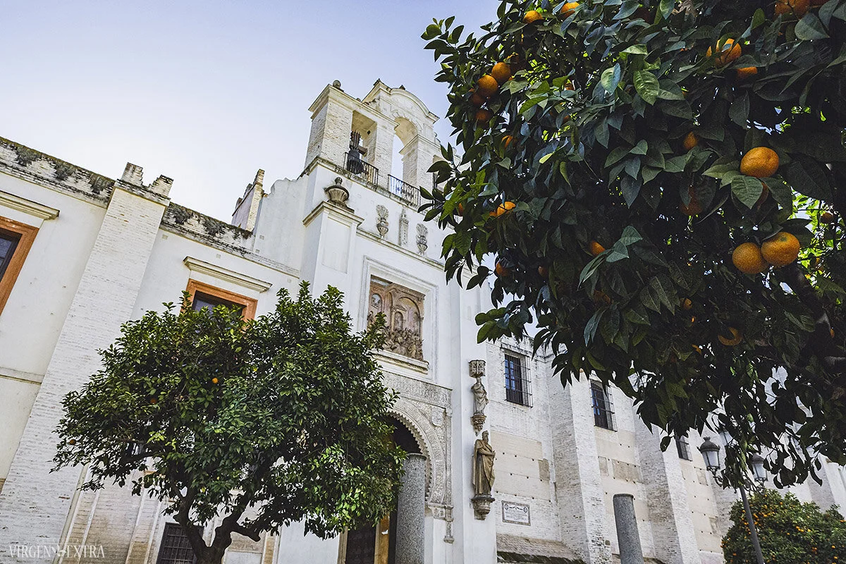 Aplesinai Sevilijoje | Andalūzija. Virgen Extra