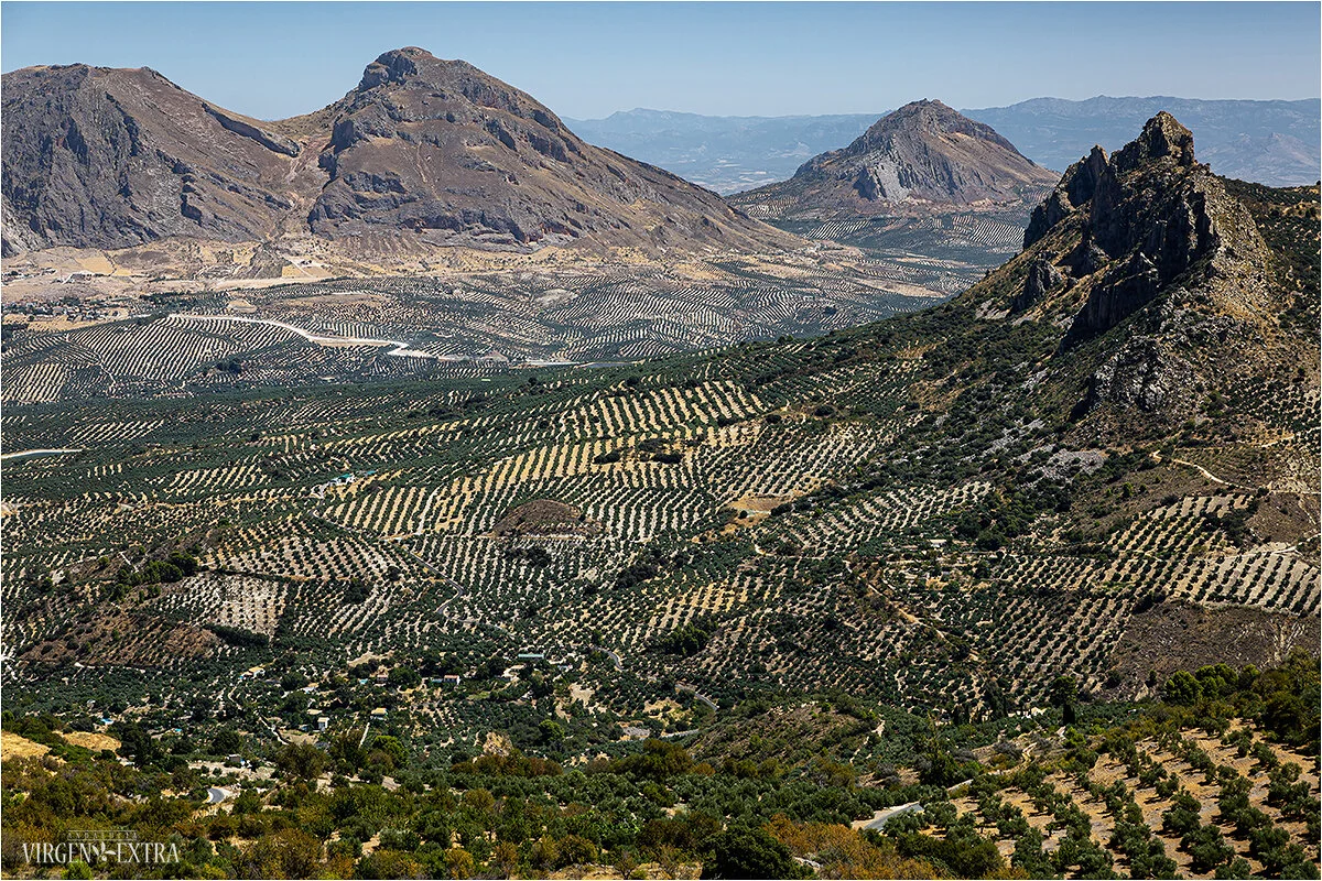 Nuo Sierra Magina viršūnių matoma "Alyvmedžių jūra”, Chajeno provincijoje | Andalūzija. Virgen Extra