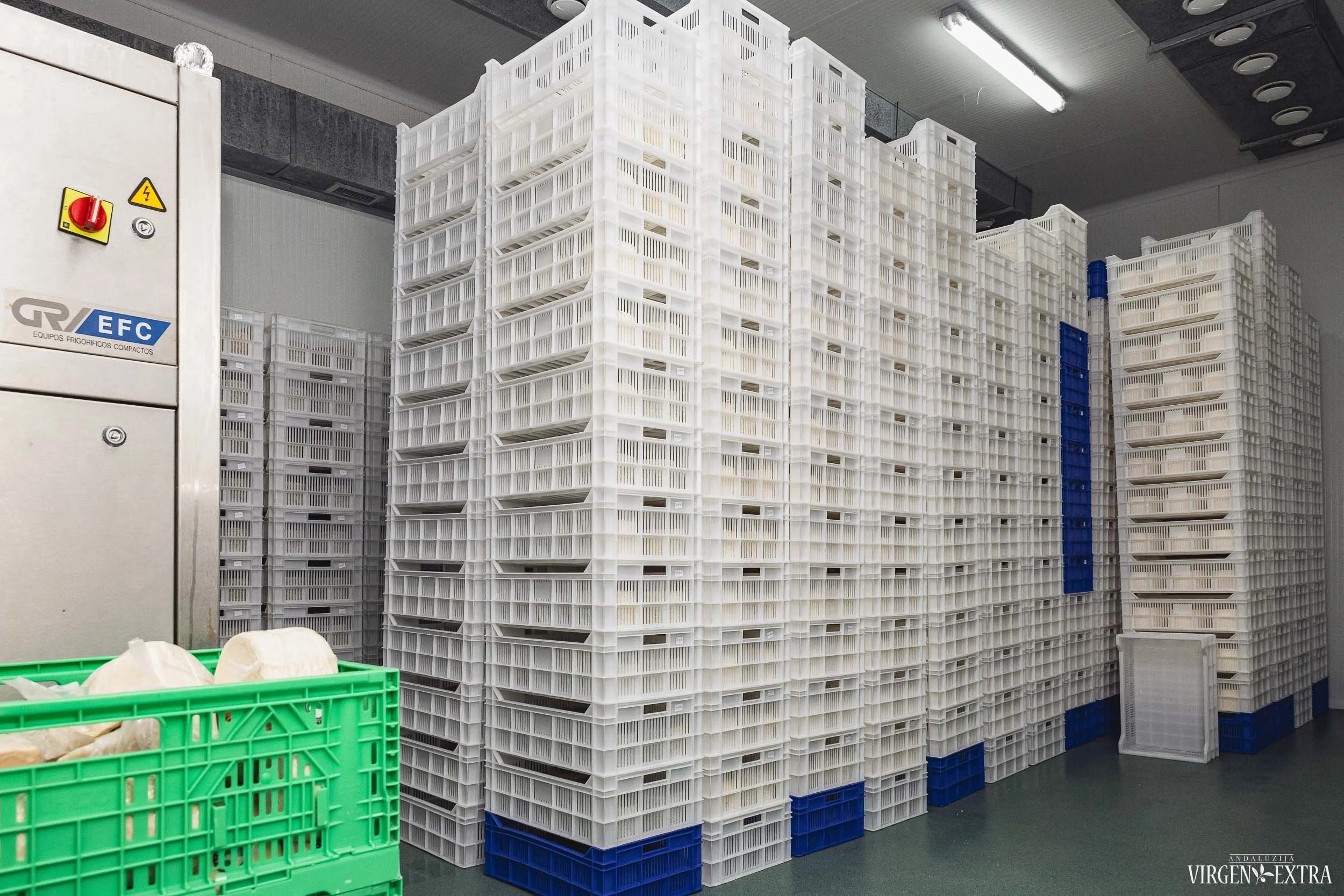 Ispaniško sūrio gamykla | Andalūzija. Virgen Extra