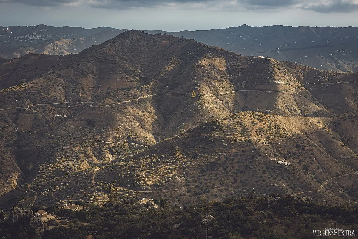 Comares baltasis Andalūzijos miestelis | Andalūzija. Virgen Extra