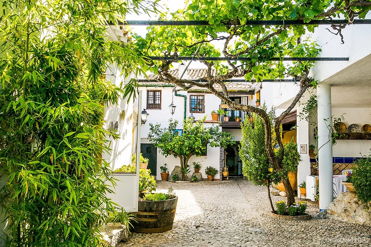 Comares baltasis Andalūzijos miestelis | Andalūzija. Virgen Extra