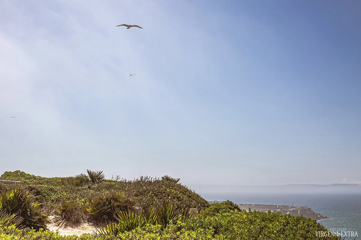 Kadiso pakrantė | Andalūzija. Virgen Extra