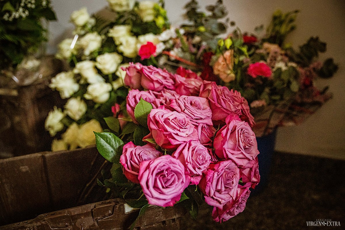 Gėlės procesijai | Andalūzija. Virgen Extra