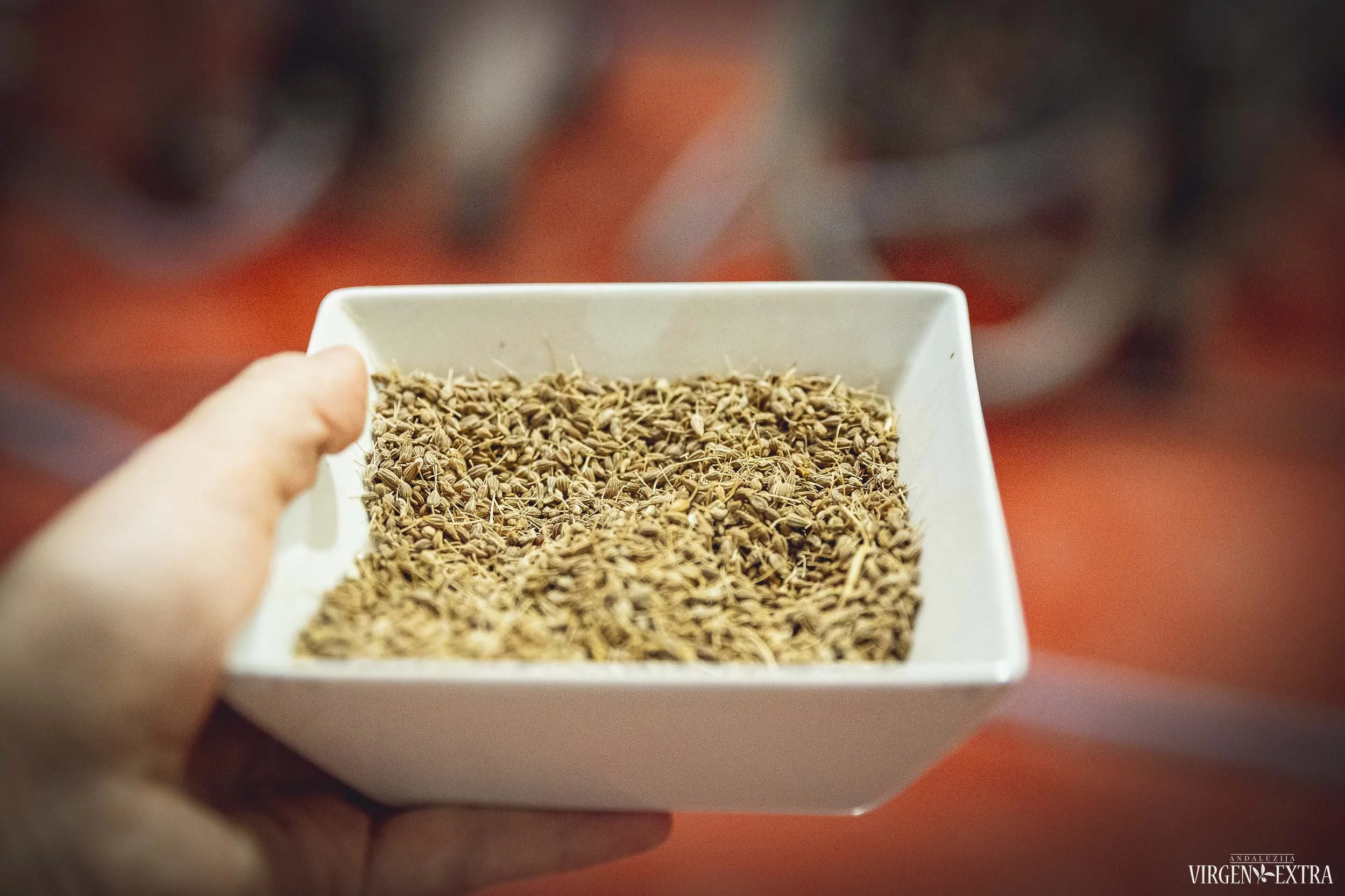 Anyžinės muziejus&nbsp;|&nbsp;Andalūzija. Virgen Extra