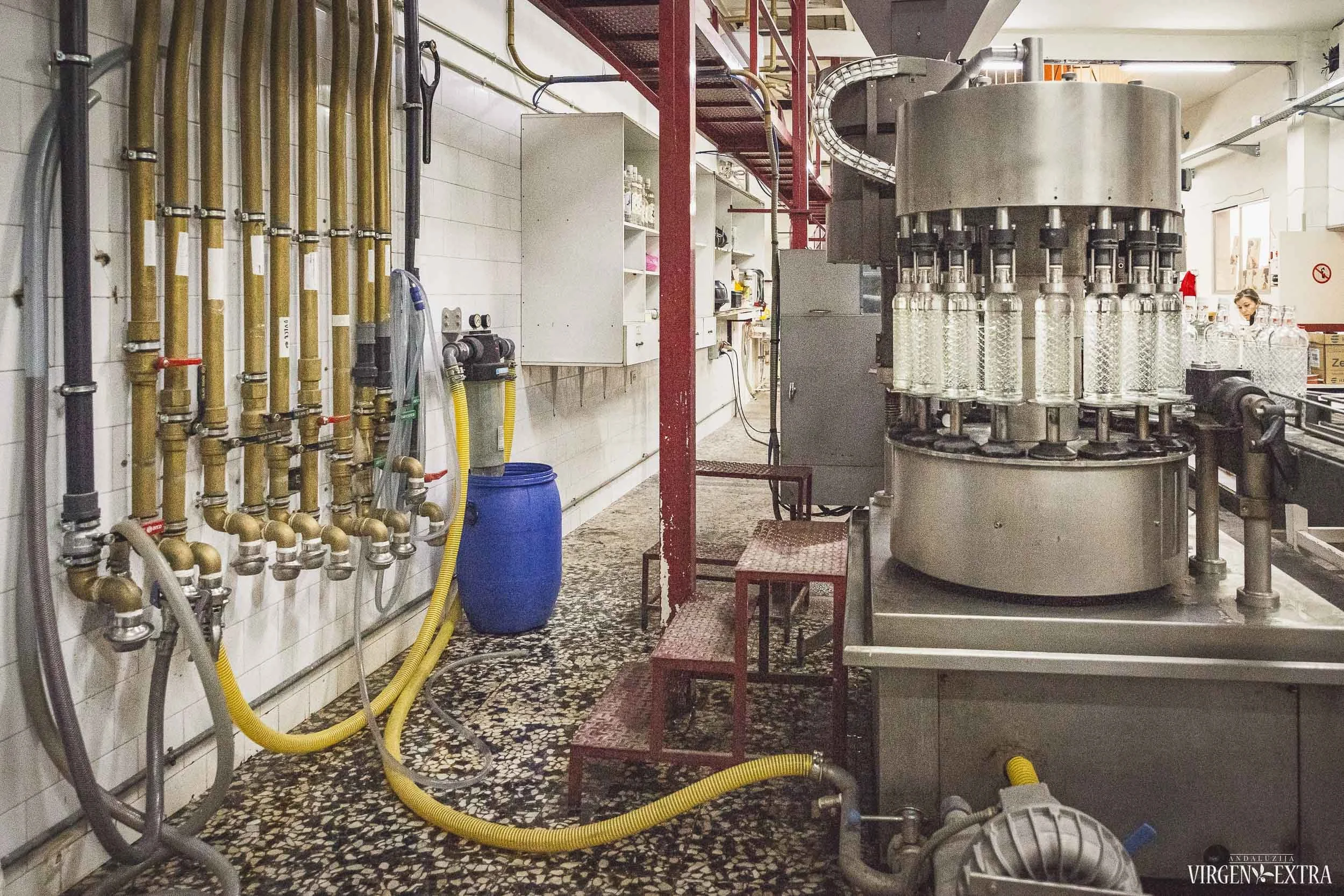 Anyžinės muziejus&nbsp;|&nbsp;Andalūzija. Virgen Extra