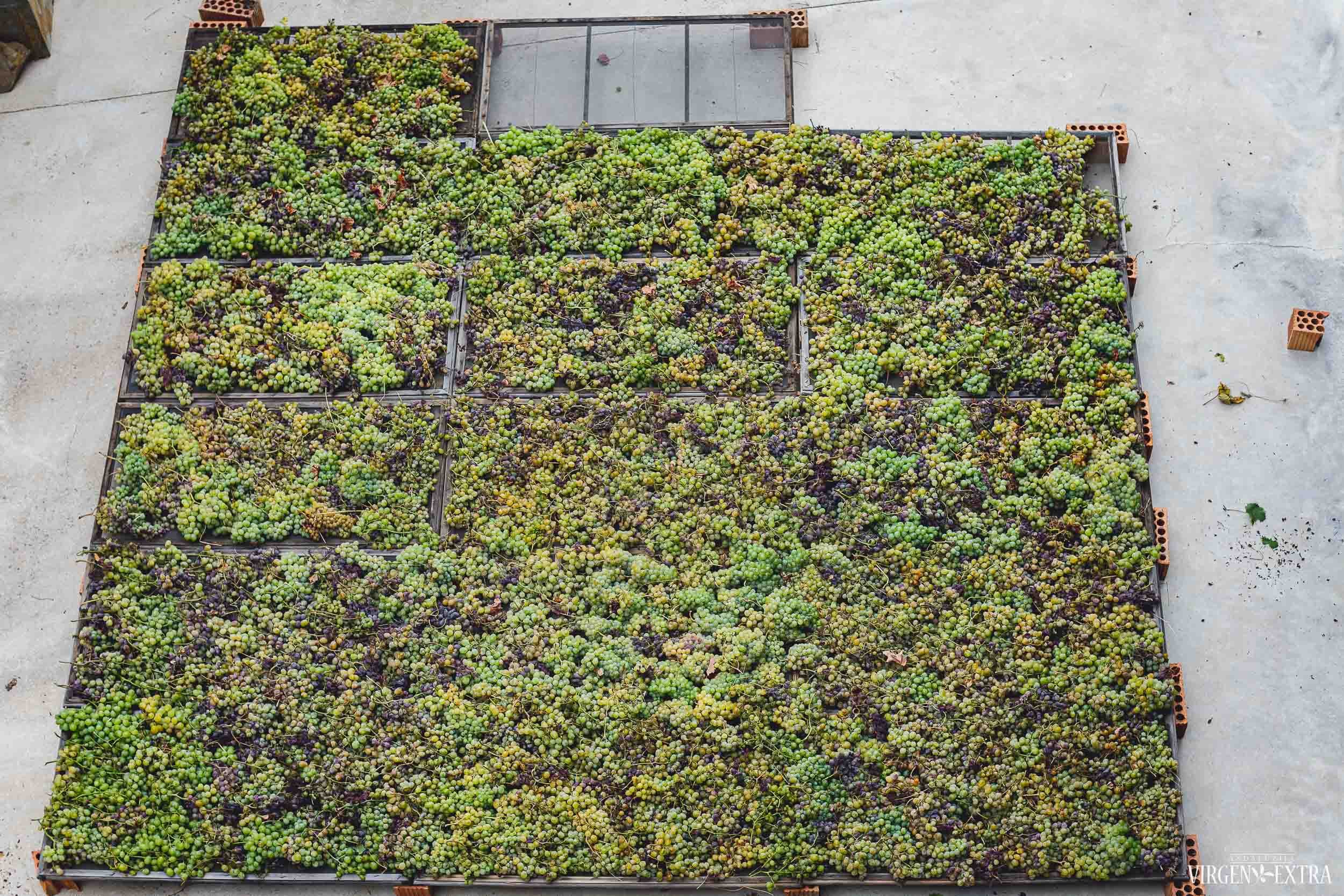 Vyninė Andalūzijoje&nbsp;|&nbsp;Andalūzija. Virgen Extra