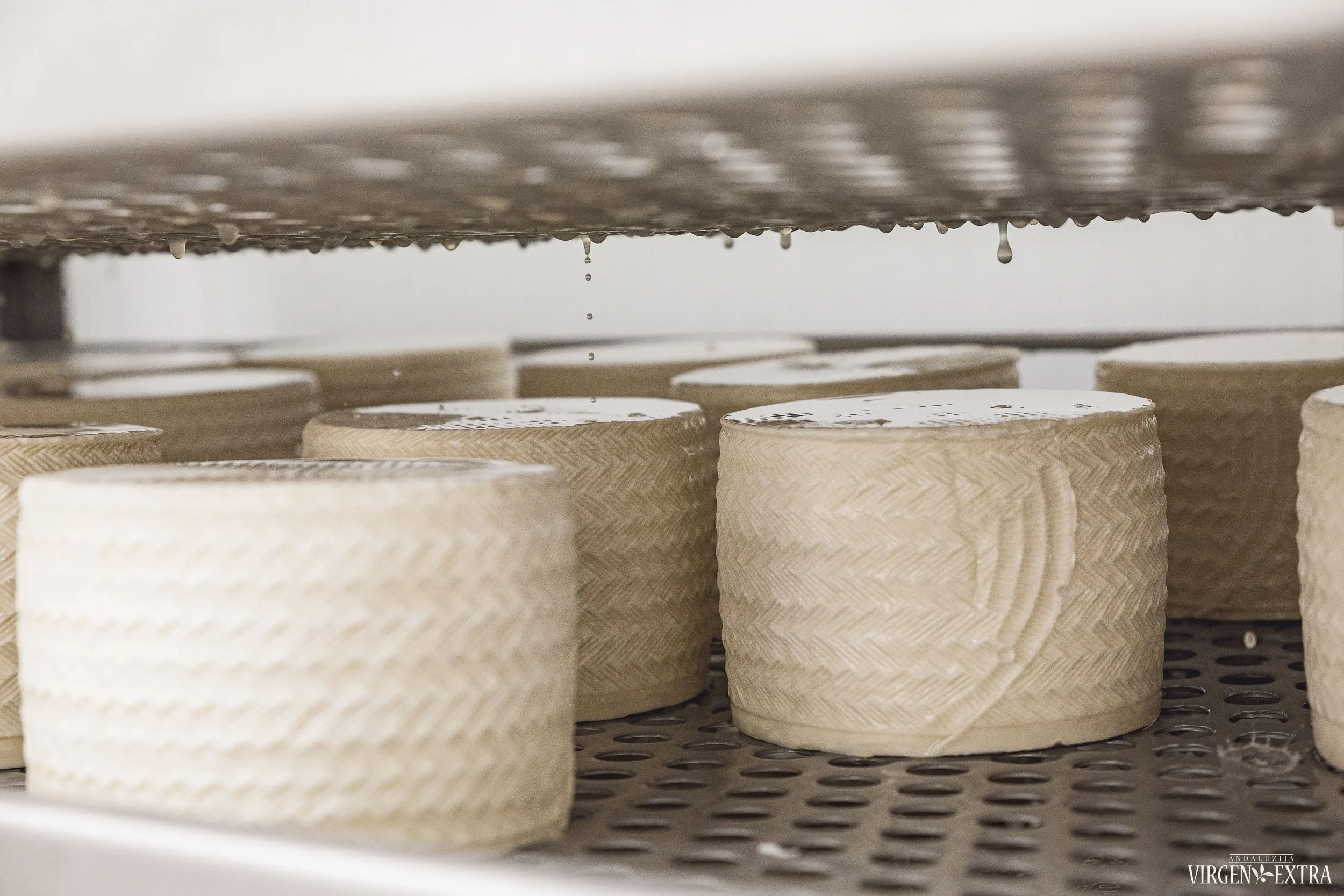 Ispaniškas sūris | Andalūzija. Virgen Extra