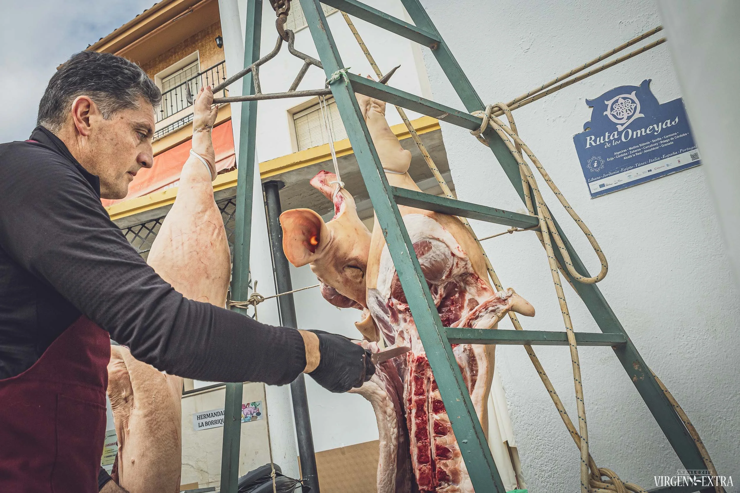 Maisto šventė |&nbsp;Andalūzija. Virgen Extra