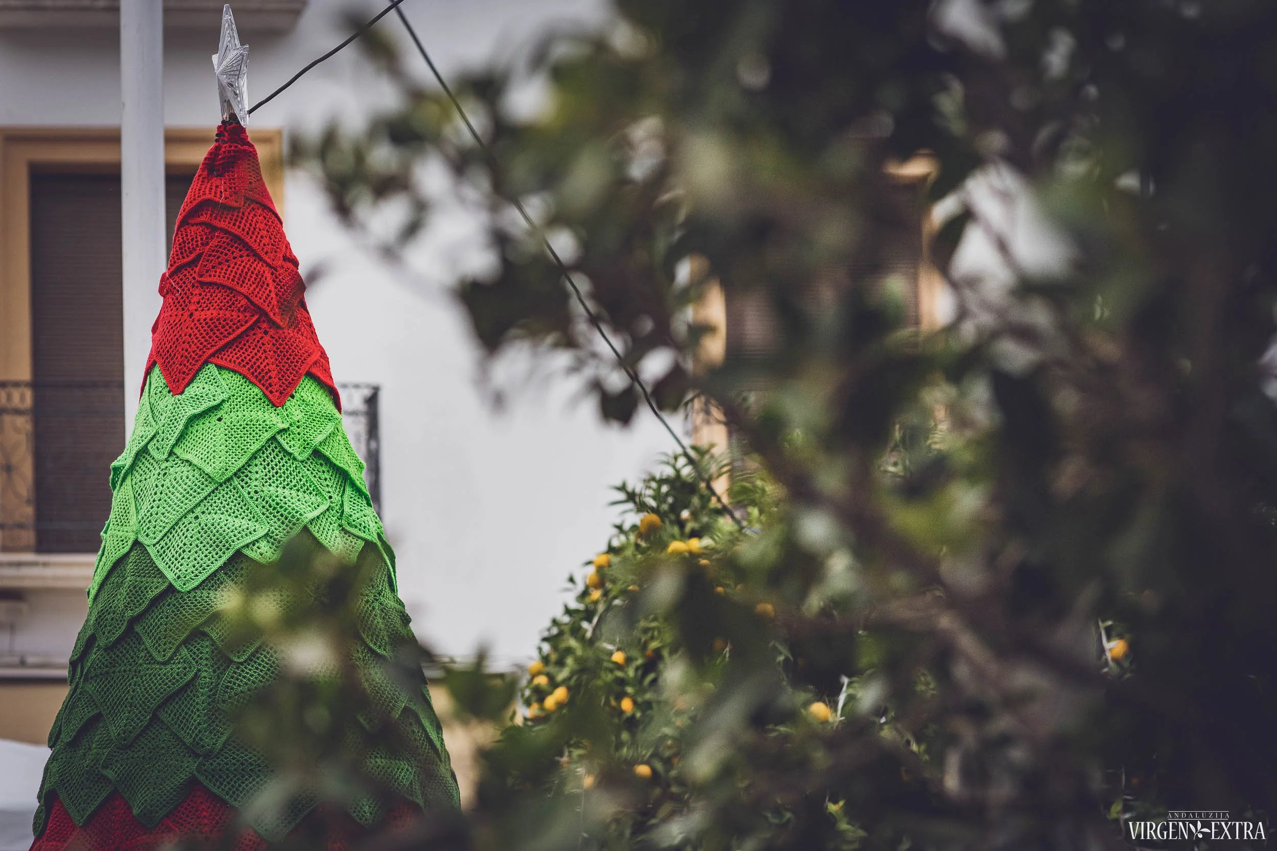 Žiemos šventės |&nbsp;Andalūzija. Virgen Extra
