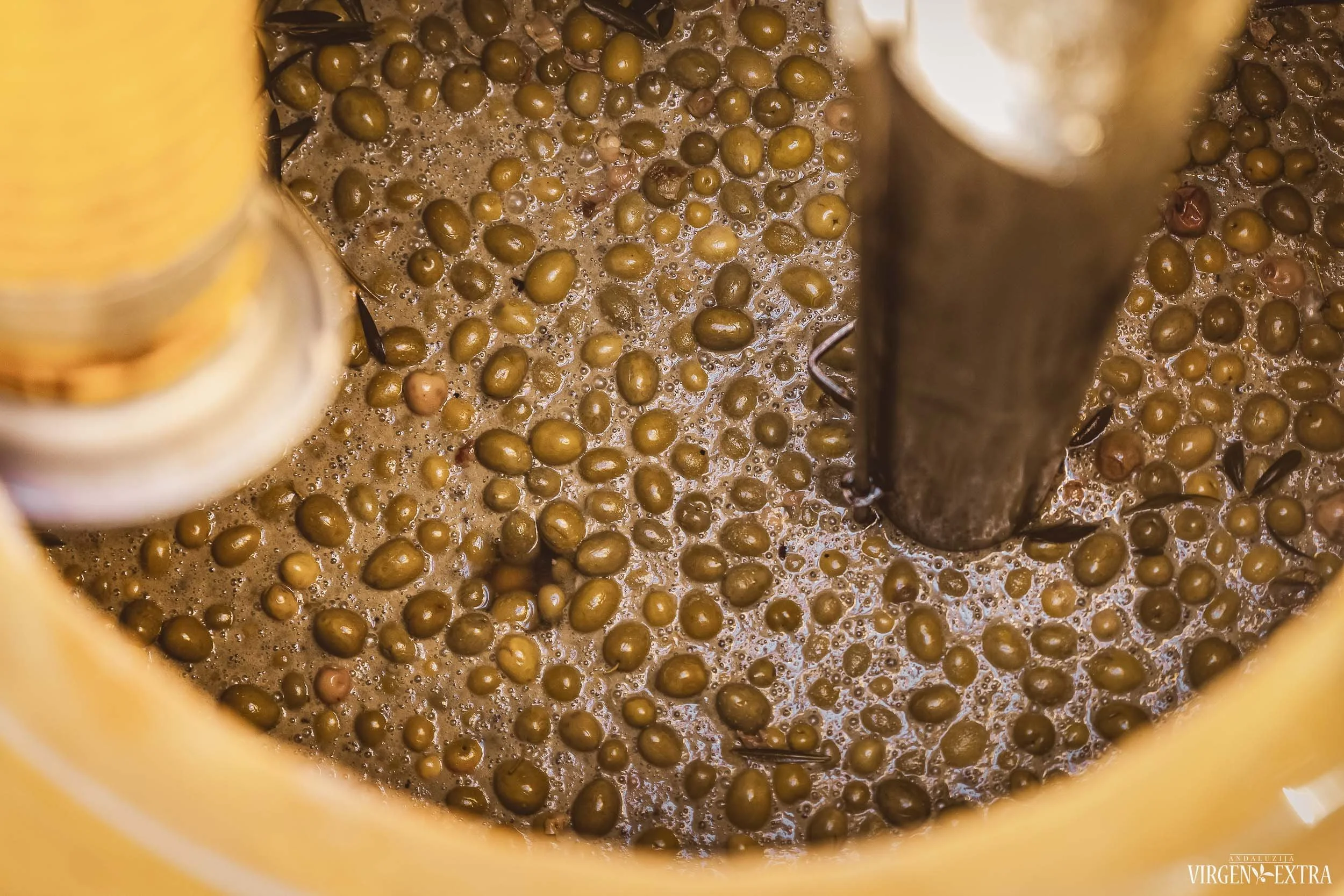 Alyvuogių fabrikas&nbsp;|&nbsp;Andalūzija. Virgen Extra