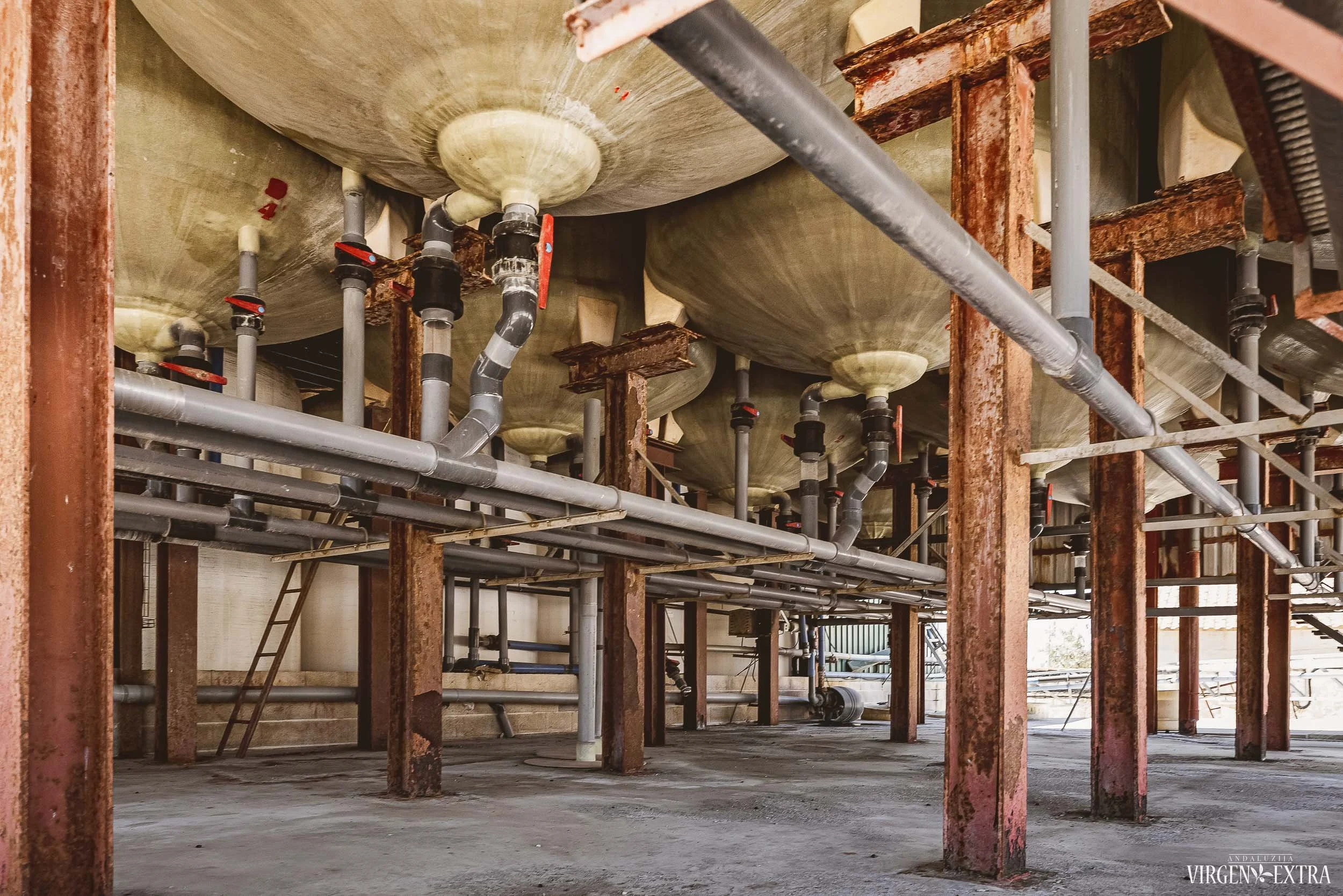 Alyvuogių fabrikas&nbsp;|&nbsp;Andalūzija. Virgen Extra