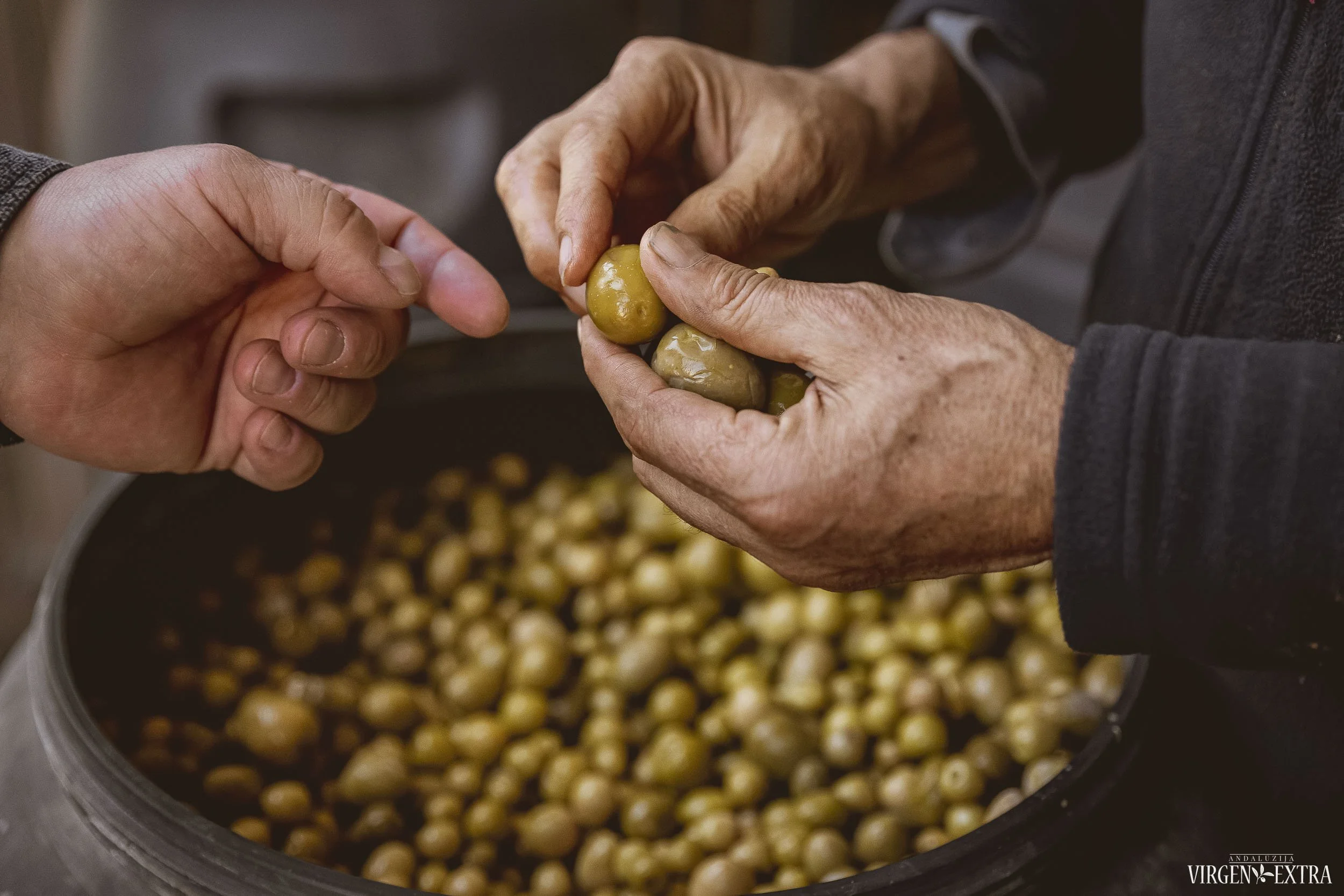 Ispaniškos alyvuogės&nbsp;|&nbsp;Andalūzija. Virgen Extra