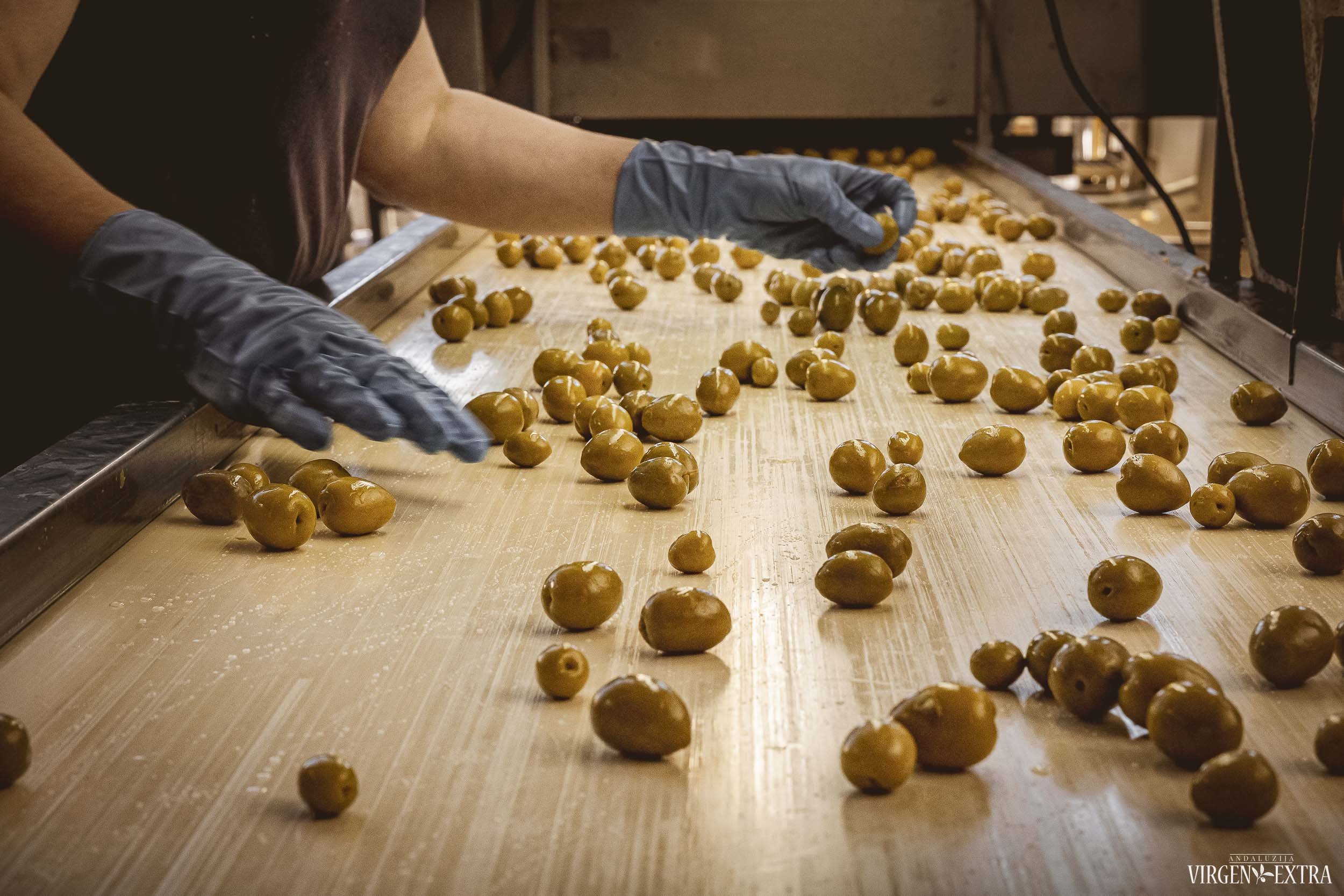 Ispaniškos alyvuogės&nbsp;|&nbsp;Andalūzija. Virgen Extra