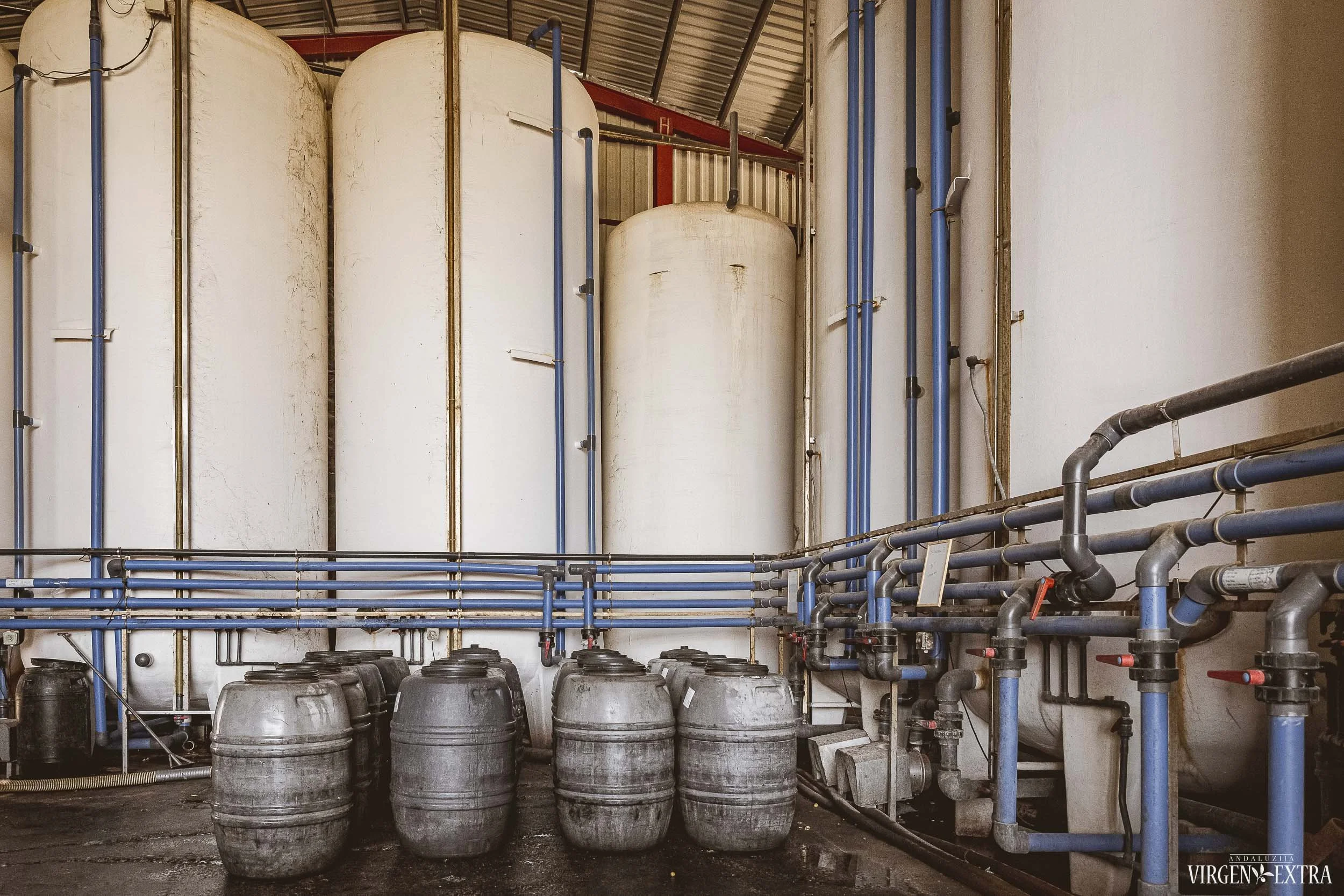 Alyvuogių fabrikas&nbsp;|&nbsp;Andalūzija. Virgen Extra