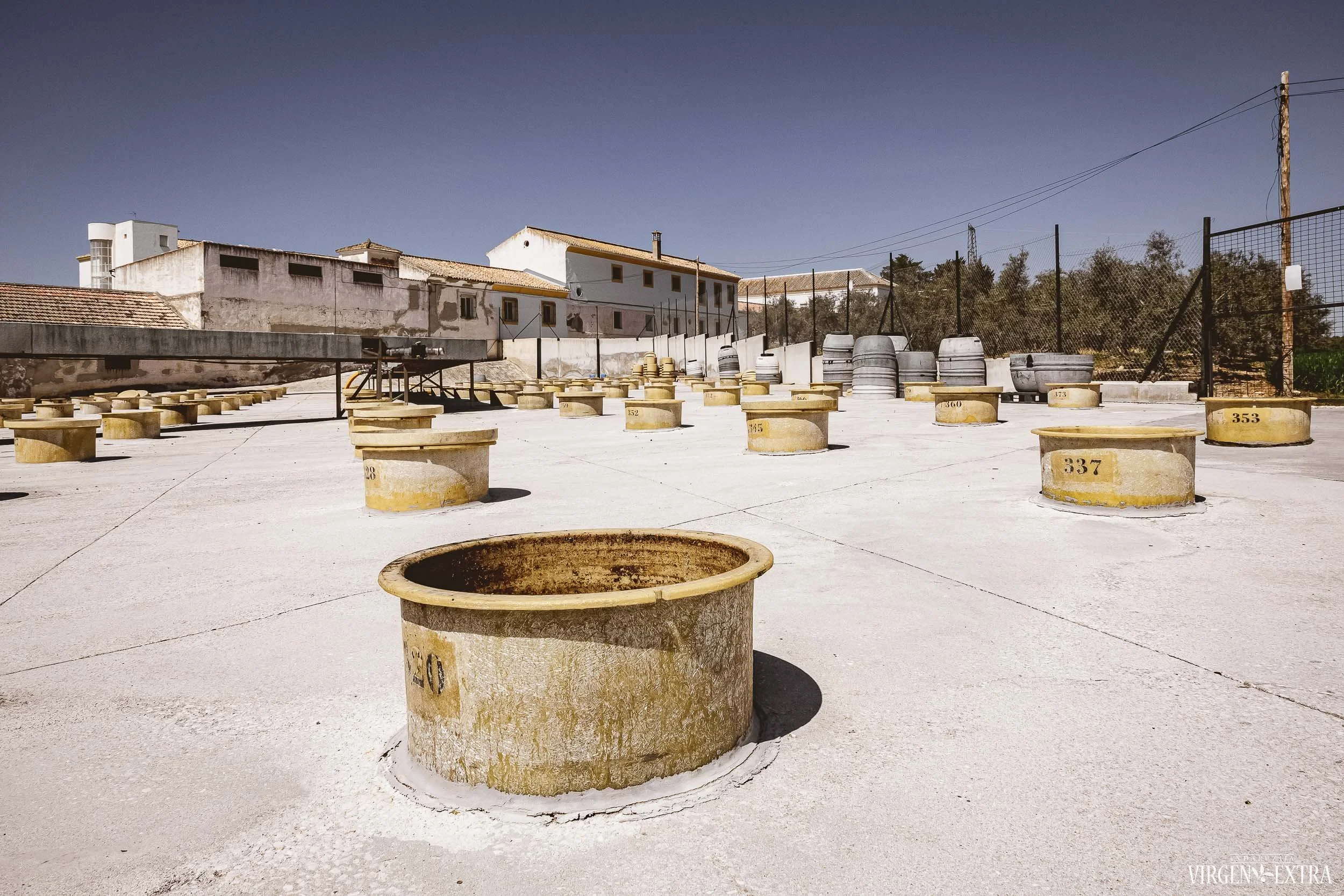 Alyvuogių marinavimas&nbsp;|&nbsp;Andalūzija. Virgen Extra