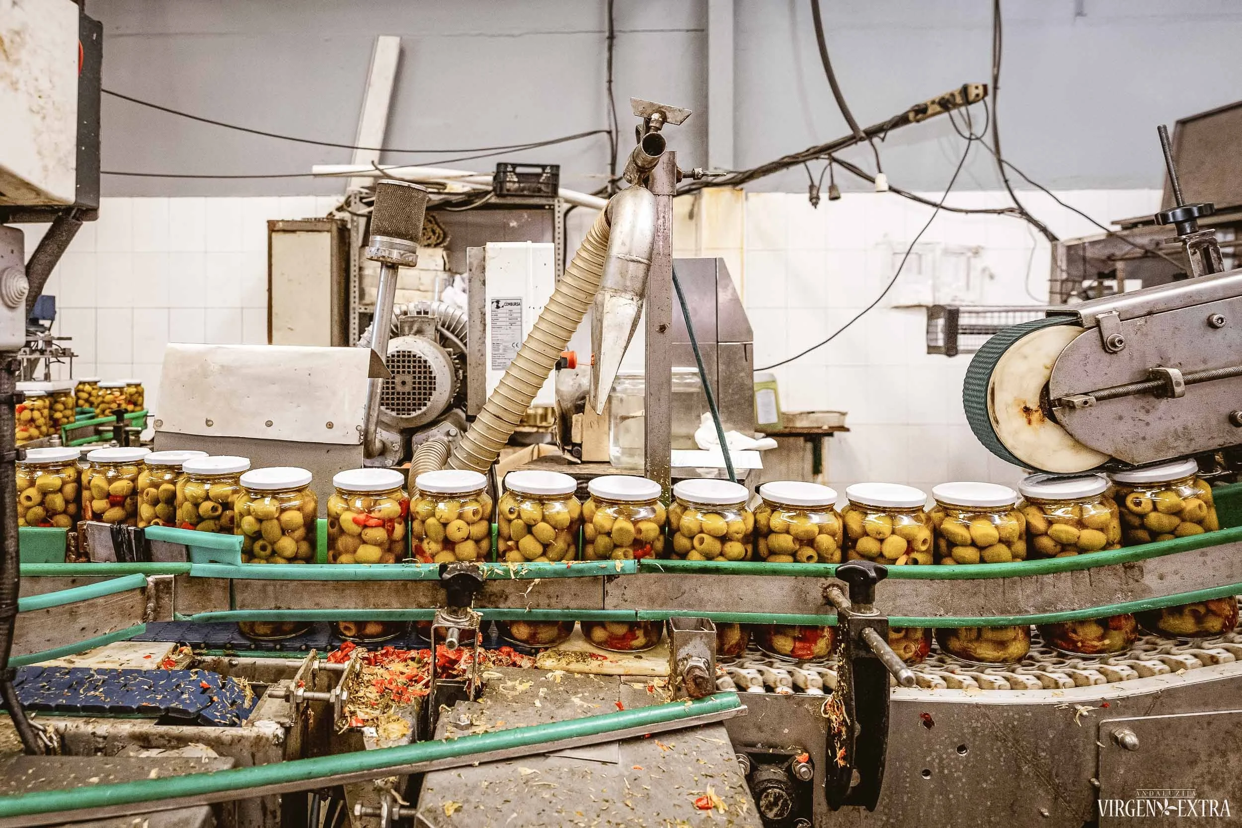 Alyvuogių fabrikas Andalūzijoje&nbsp;|&nbsp;Andalūzija. Virgen Extra