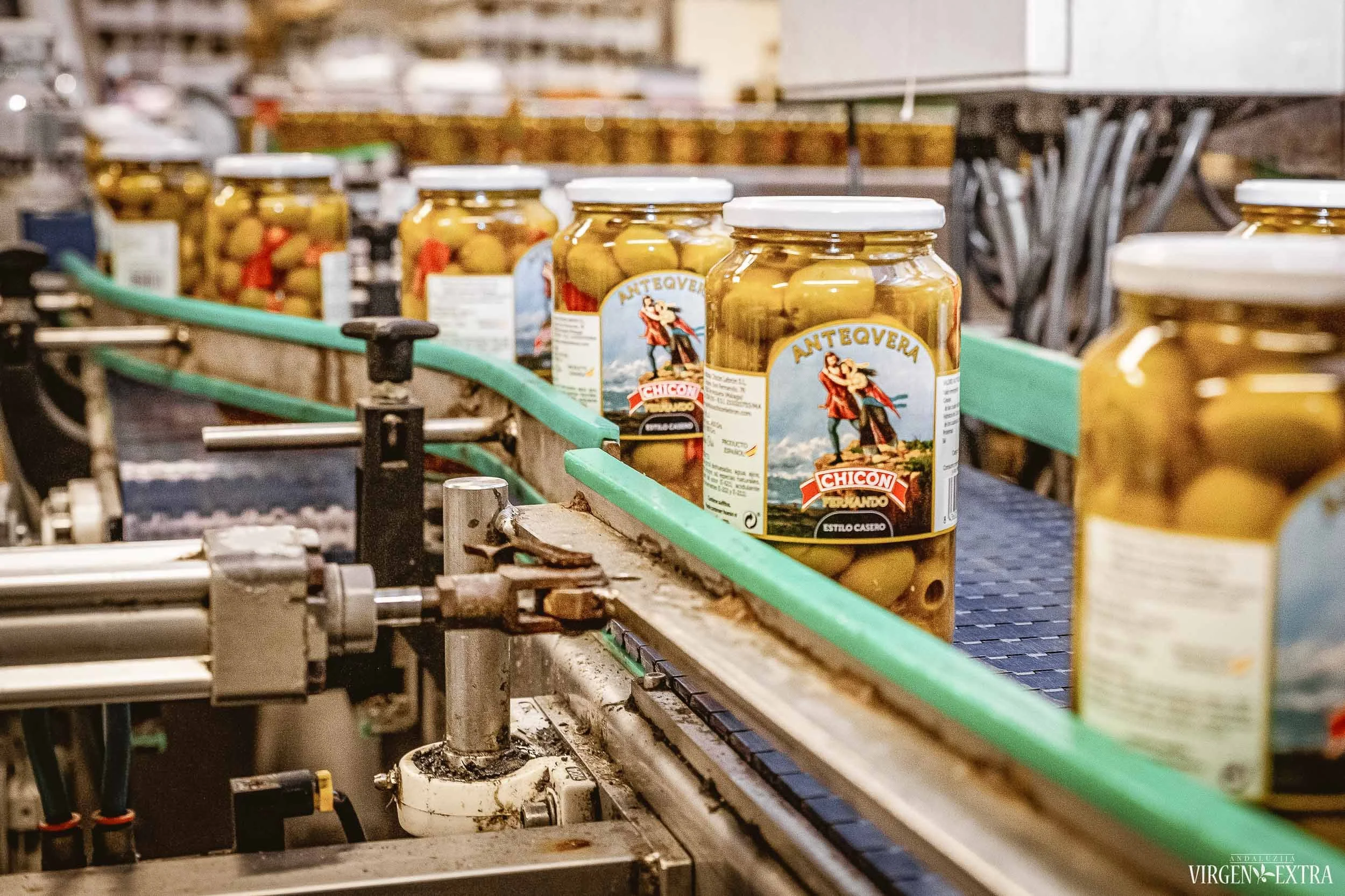 Alyvuogių fabrikas Andalūzijoje&nbsp;|&nbsp;Andalūzija. Virgen Extra