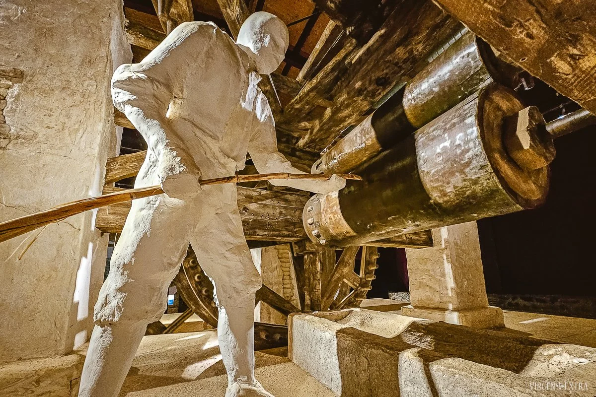 Cukraus gamyba&nbsp;|&nbsp;Andalūzija. Virgen Extra