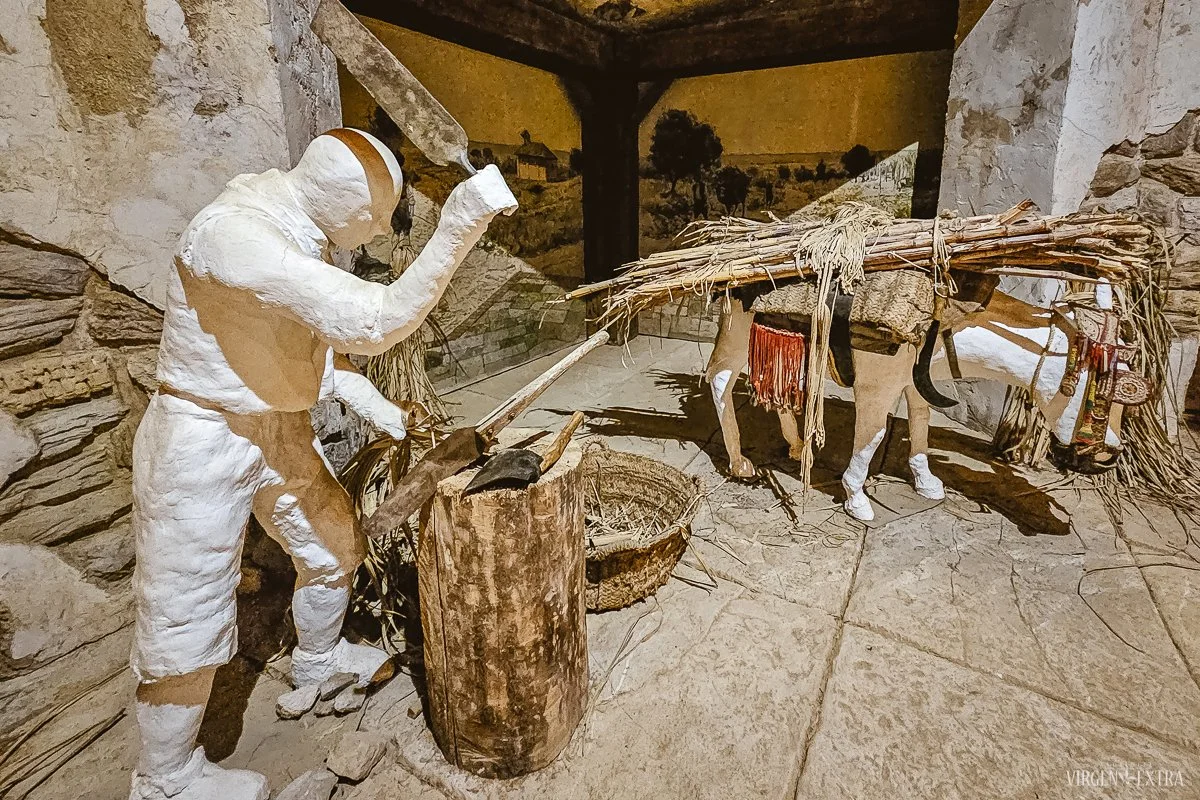 Cukraus gamyba&nbsp;|&nbsp;Andalūzija. Virgen Extra