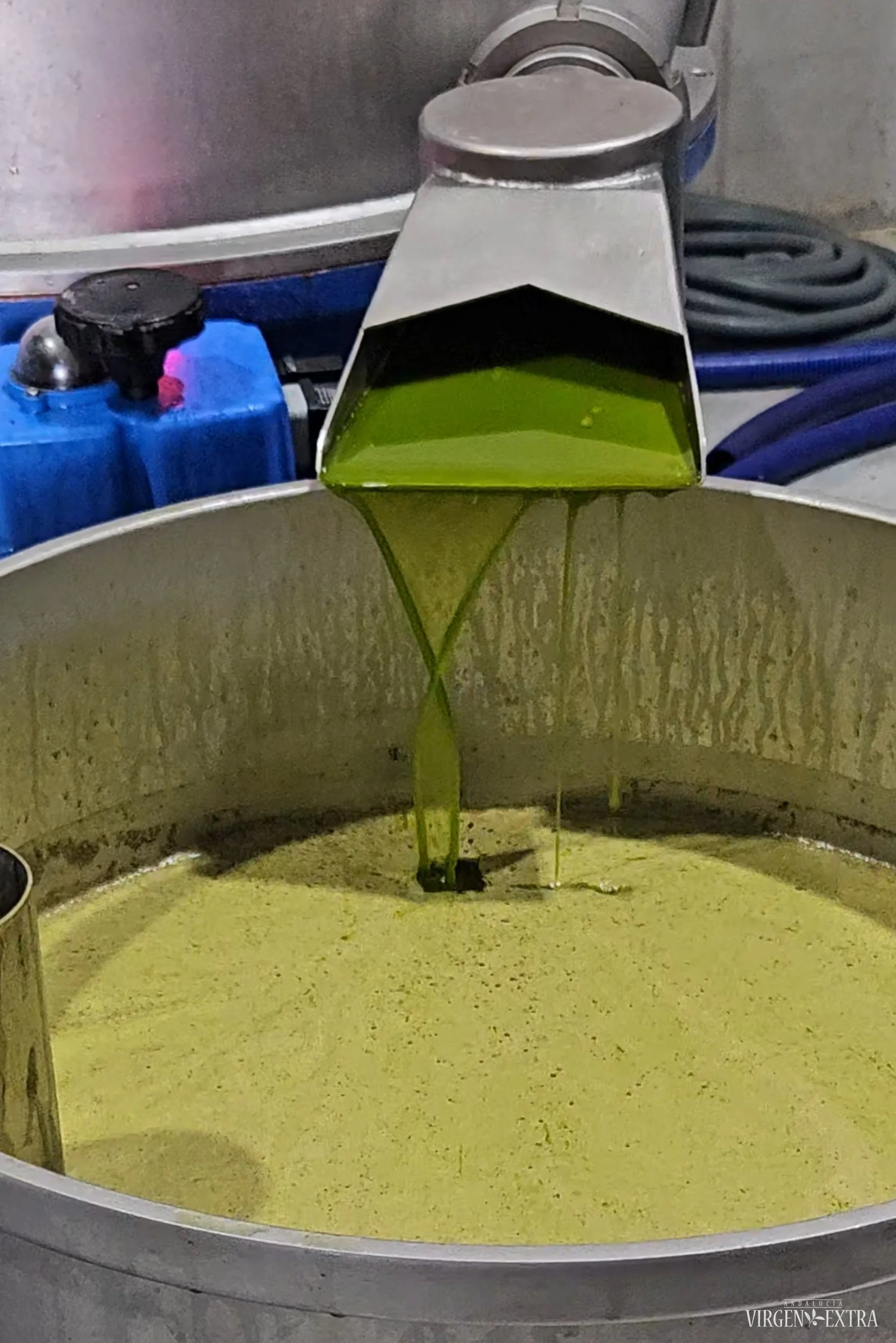 Aliejaus derlius Andalūzijoje | Andalūzija. Virgen Extra