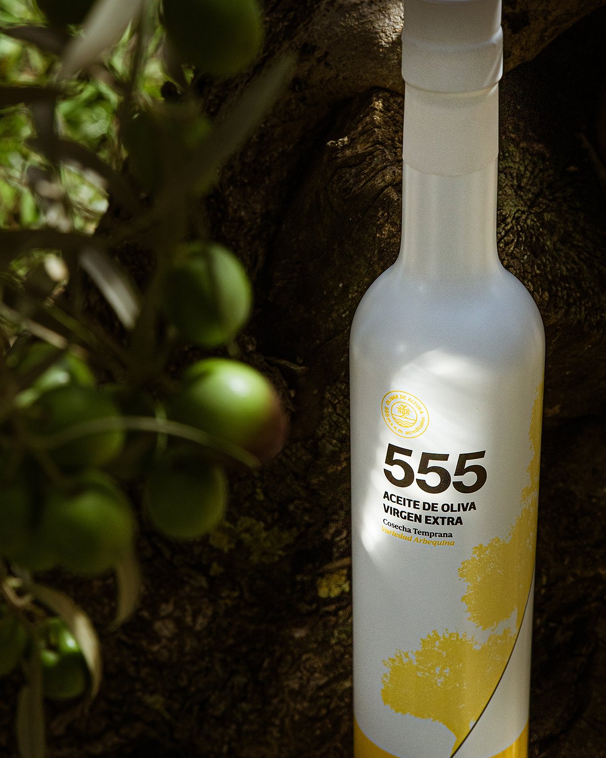 Arbequina ispaniškas aliejus Lietuvoje | Andalūzija. Virgen Extra