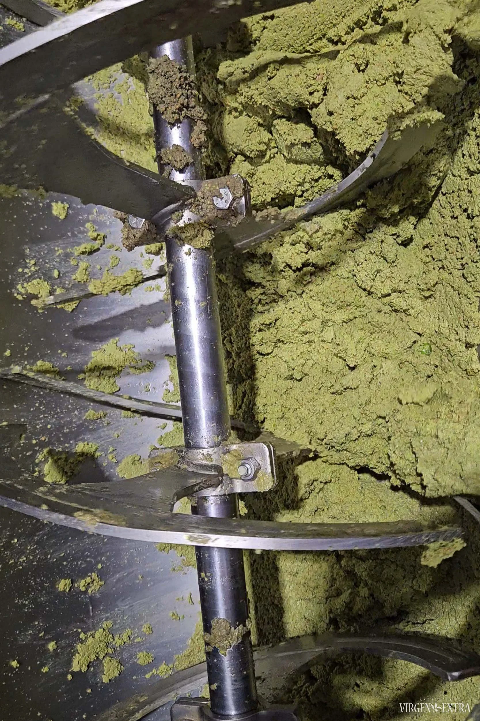 Picual aliejau spaudimas | Andalūzija.Virgen Extra