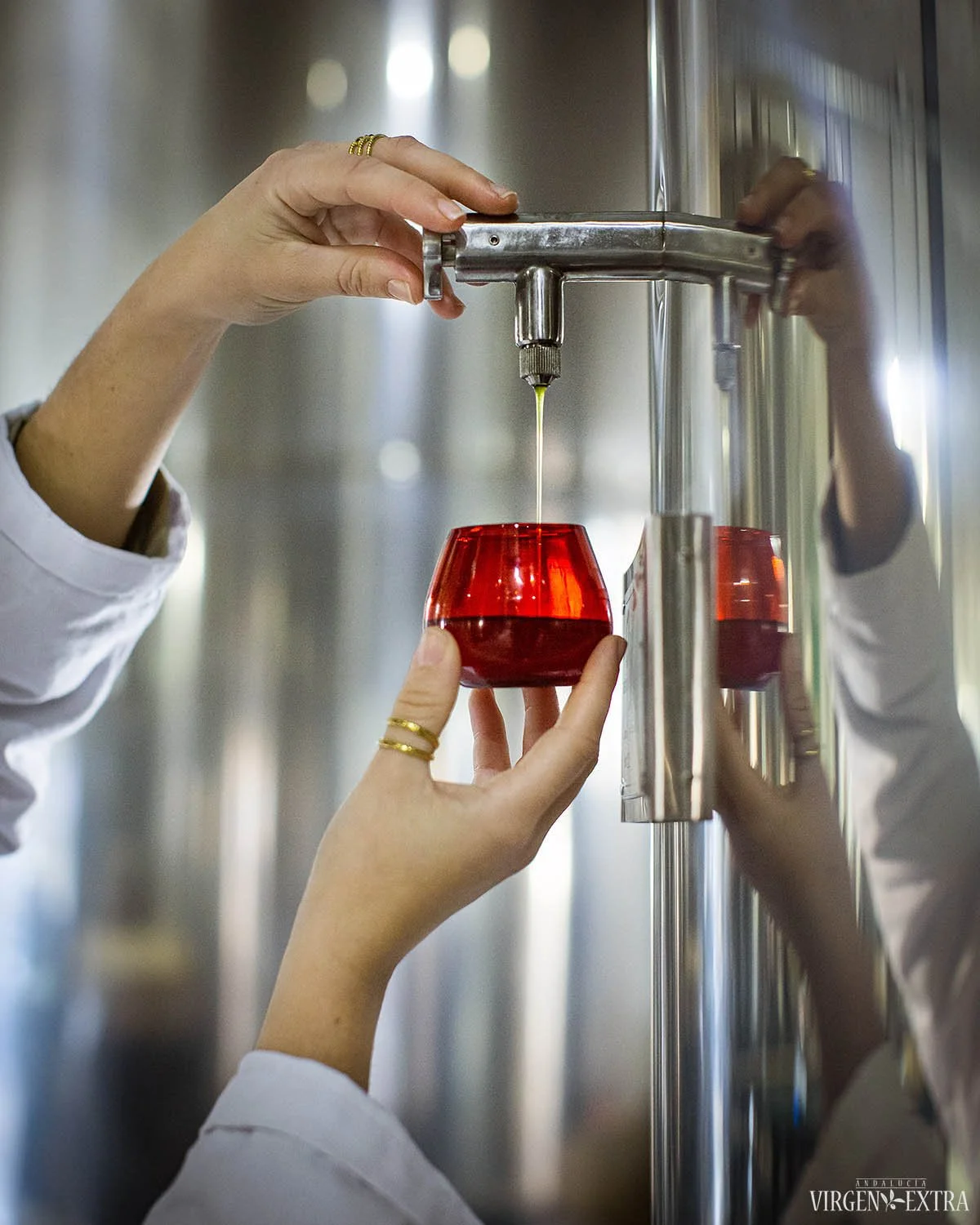 Hojiblanca aliejus | Andalūzija. Virgen Extra