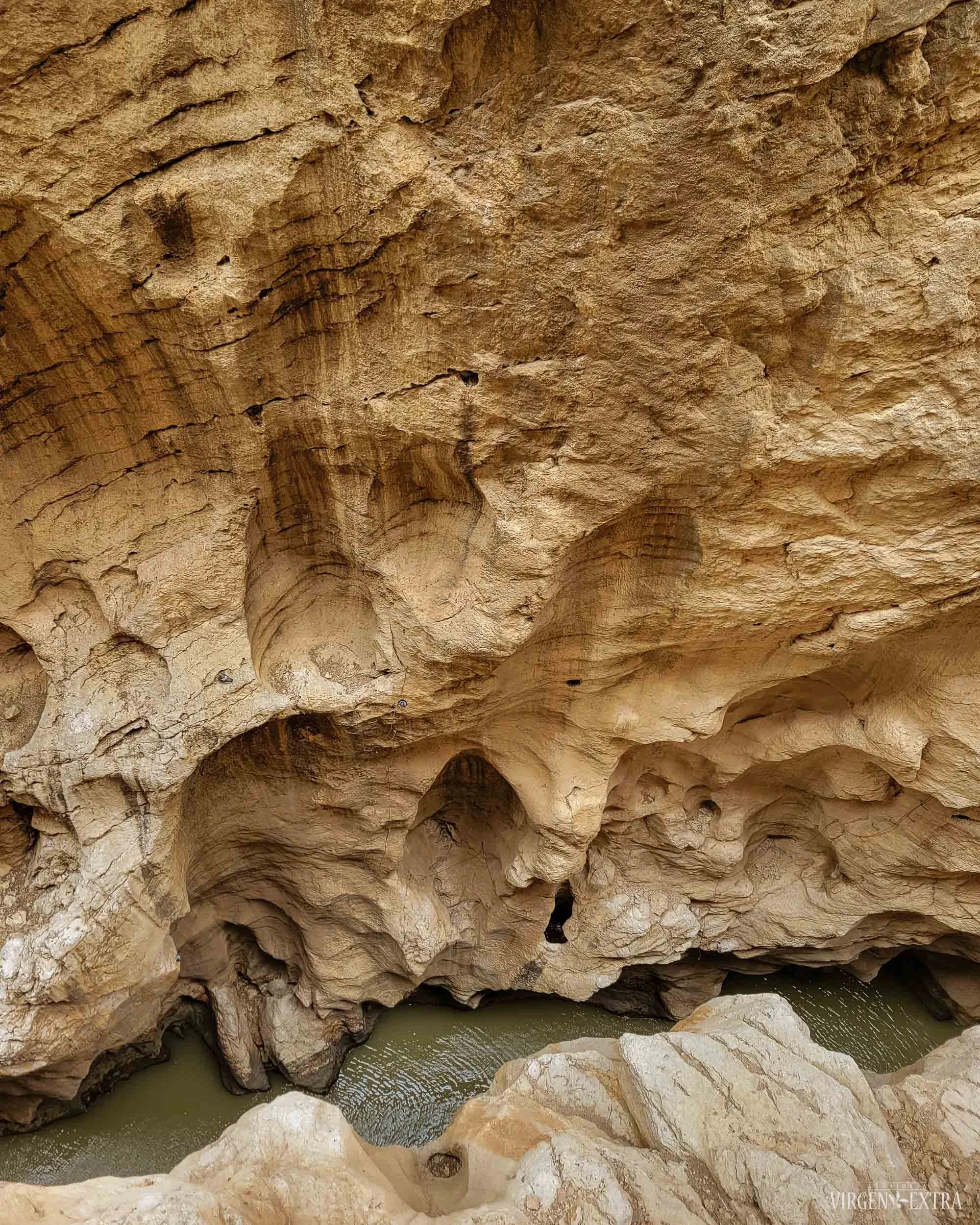 Karaliaus takas | Andalūzija. Virgen Extra