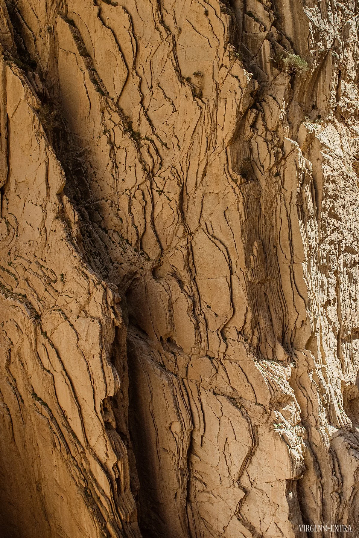 Karaliaus kelias | Andalūzija. Virgen Extra