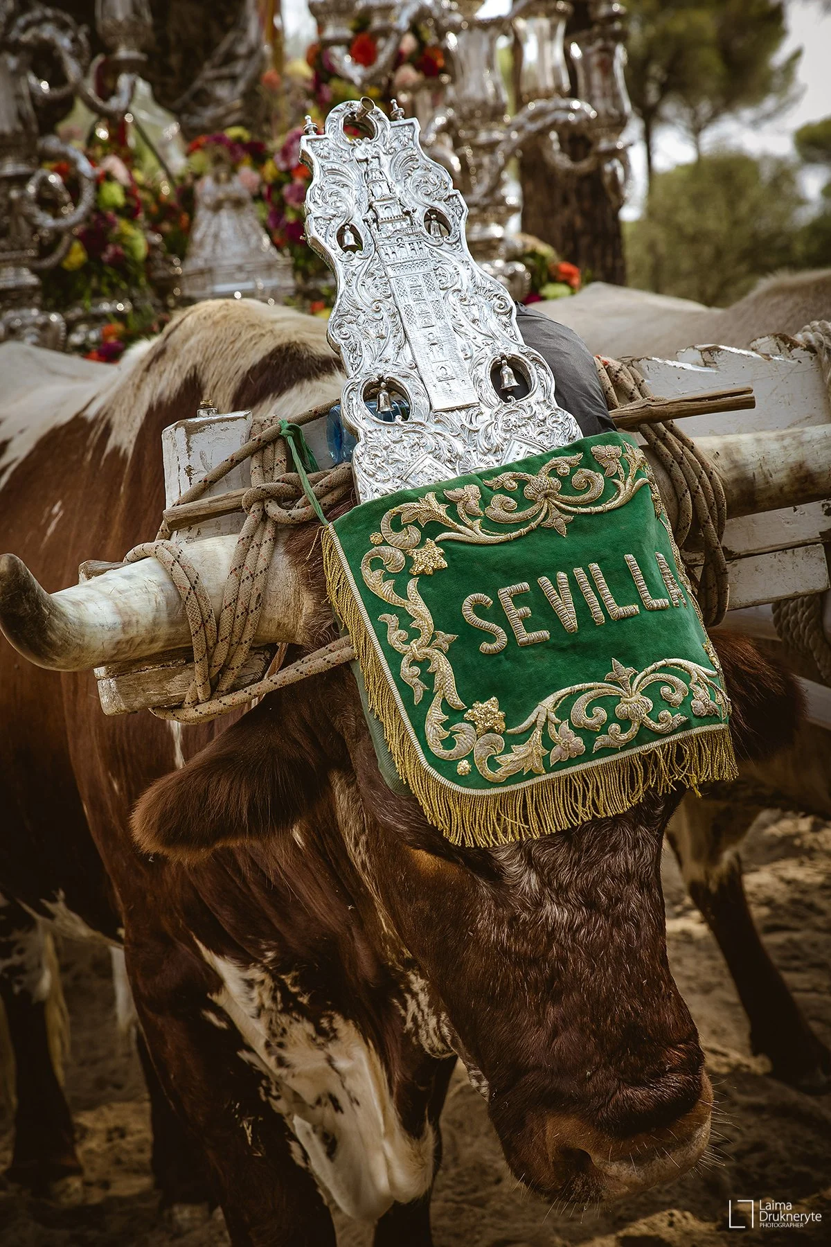 El Rocío piligrimystė | Andalūzija. Virgen Extra
