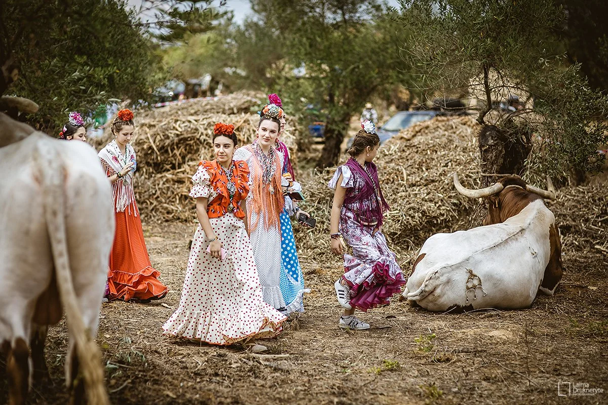Flamenko kultūra | Andalūzija. Virgen Extra
