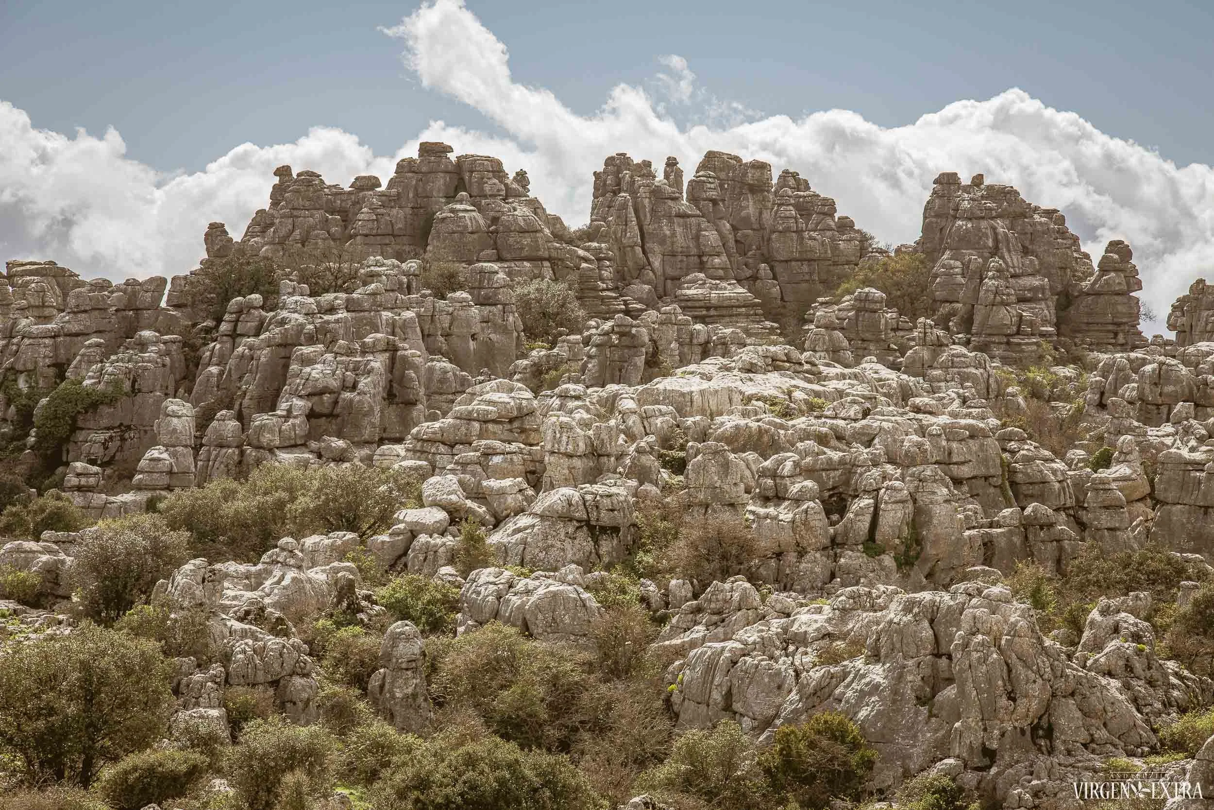 EL TORCAL PARKAS